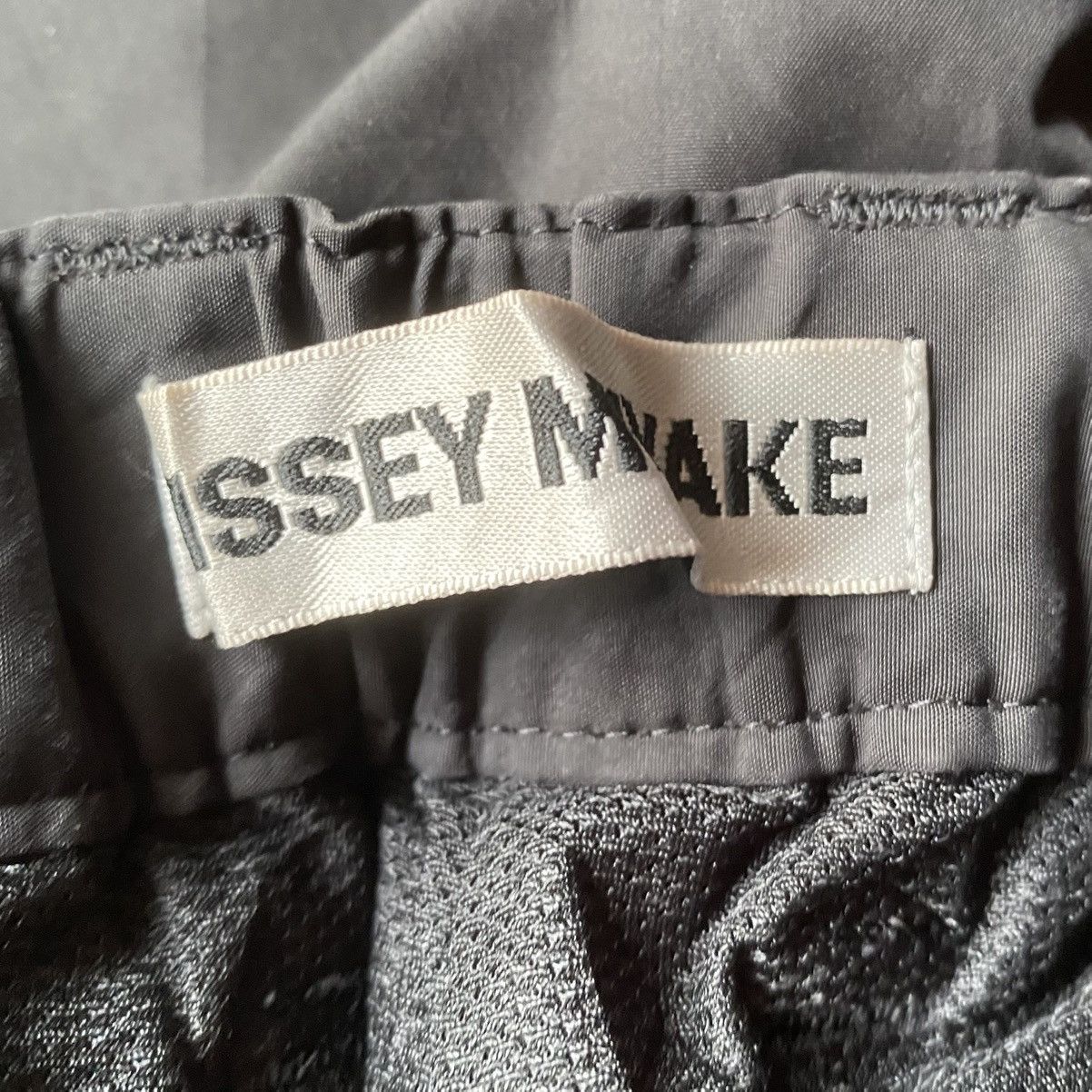 Issey Miyake Fall09 Front Zip Ballistic Pants Size US 30 / EU 46 - 5 Thumbnail
