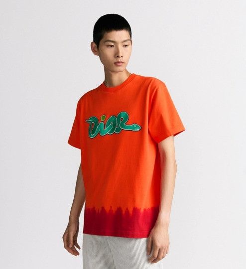 Dior o1w1db11025 513J201 Relaxed Fit T-Shirt in Orange/Red Size US M / EU 48-50 / 2 - 3 Thumbnail