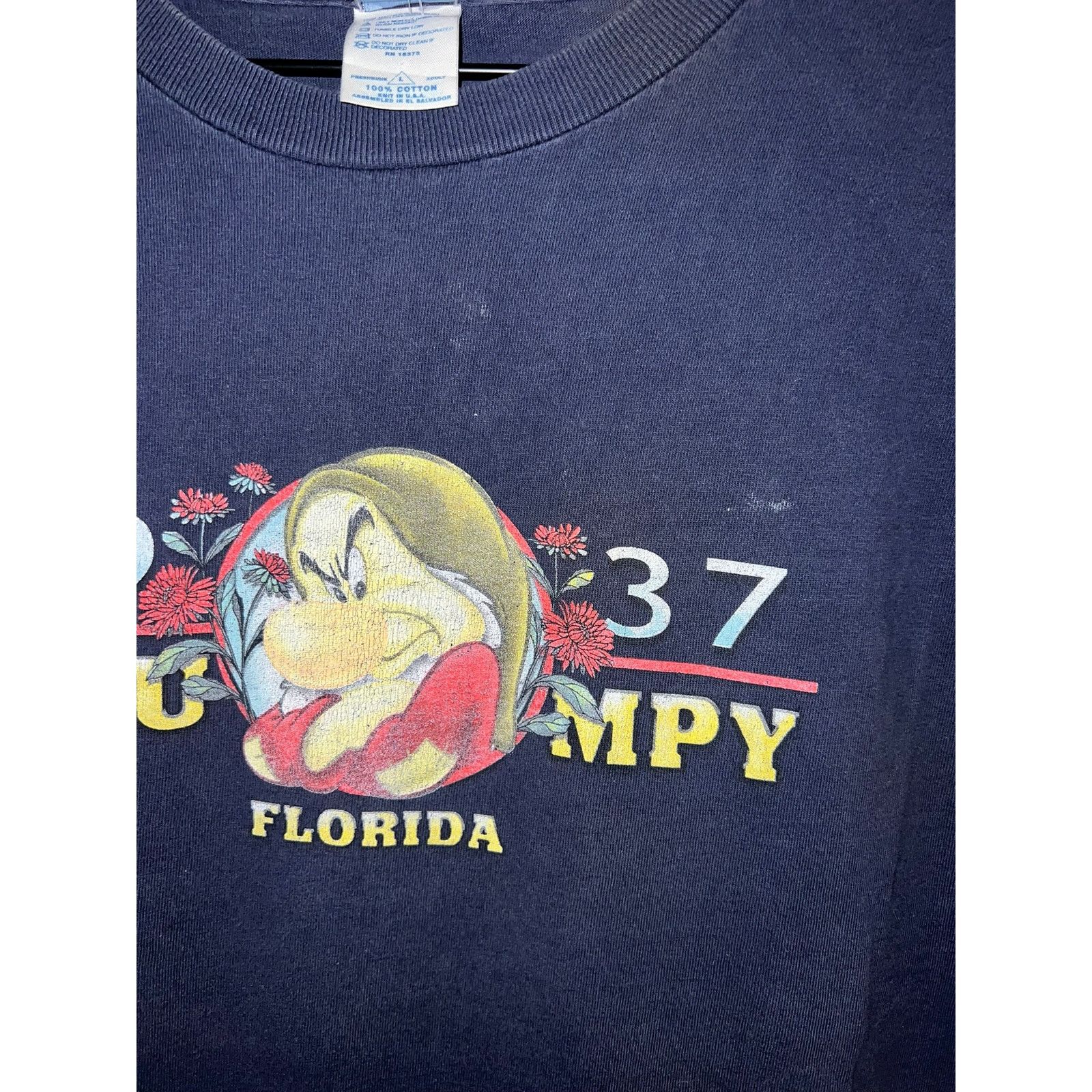 Disney Y2K Disney Florida Grumpy Character Profile Blue Shirt 2000s Size US L / EU 52-54 / 3 - 3 Thumbnail
