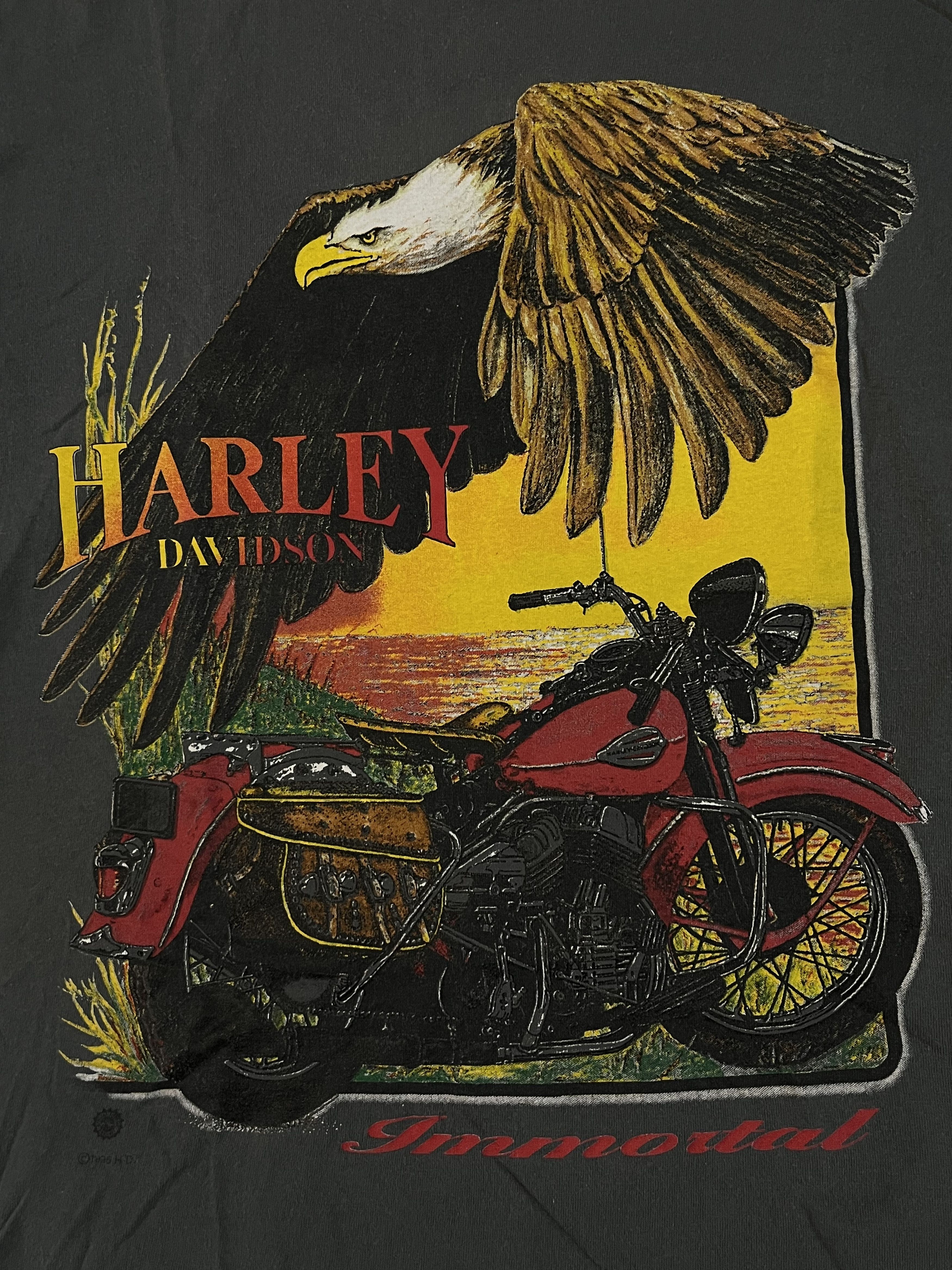 Harley Davidson × Vintage Vintage 1995/96 Harley Davidson Inmortal 90s Size US M / EU 48-50 / 2 - 5 Thumbnail