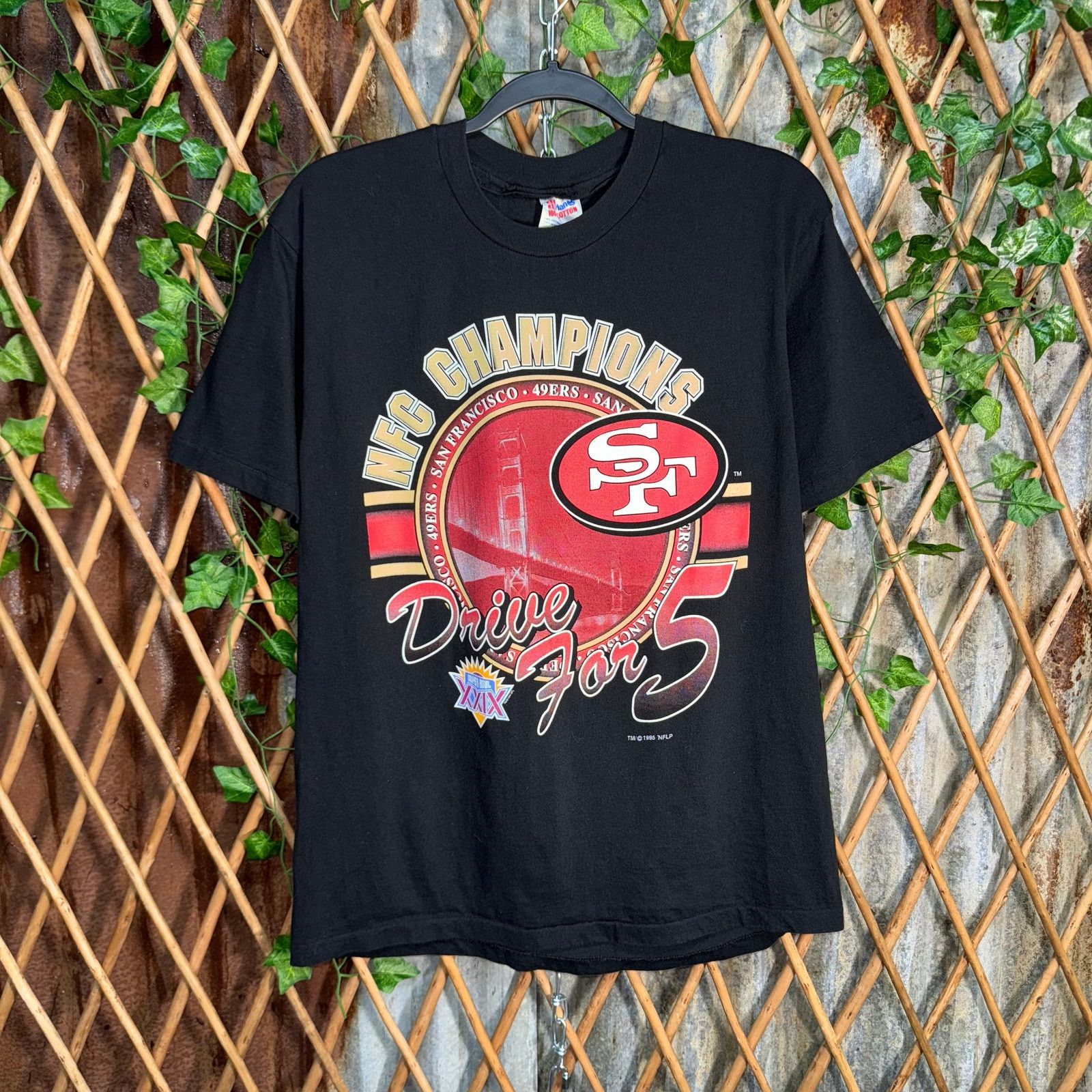 NFL Vintage Y2K San Francisco 49ers niners NFL 90s XXIX T-shirt Size US L / EU 52-54 / 3 - 1 Thumbnail