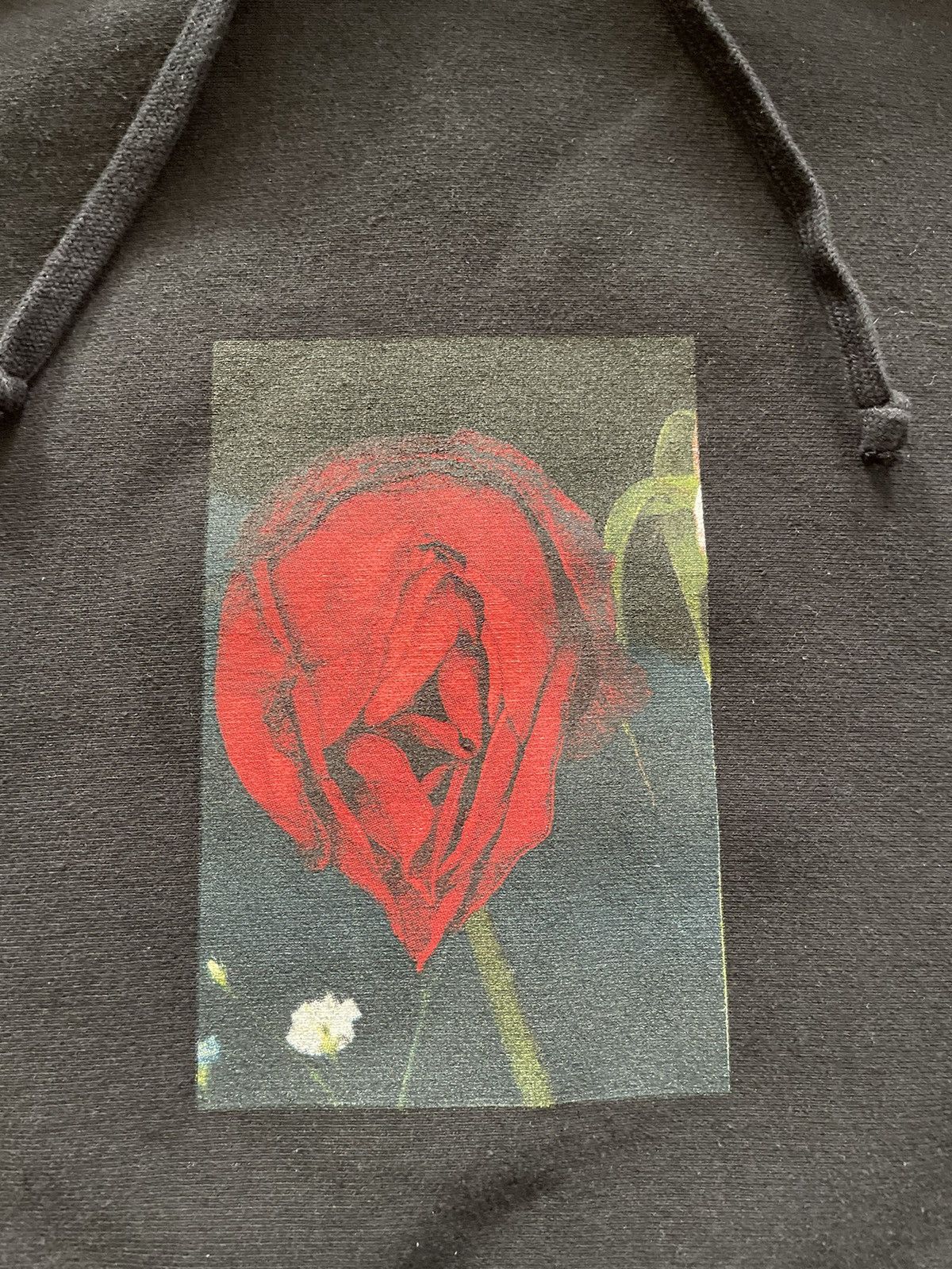 Supreme Supreme Araki Nobuyoshi Hoodie Black Size US L / EU 52-54 / 3 - 3 Thumbnail
