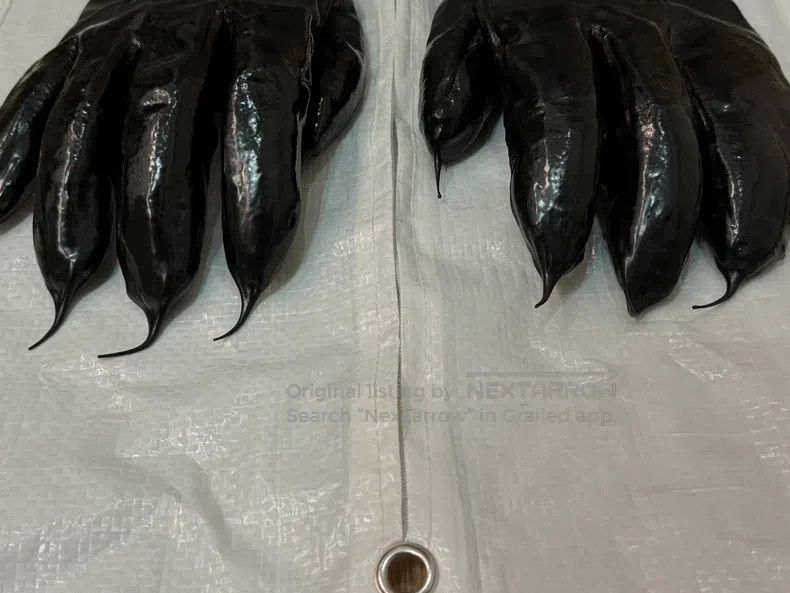 Carol Christian Poell Carol Christian Poell Size 46 Dropping kangaroo leather glo Size ONE SIZE - 2 Thumbnail