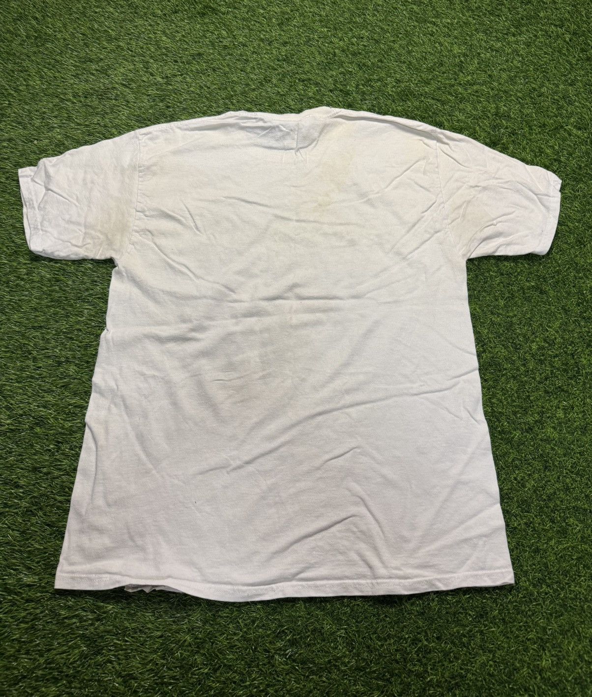 Champion × Pacsun assorted tshirt - champion x pacsun tshirt Size US L / EU 52-54 / 3 - 9 Thumbnail