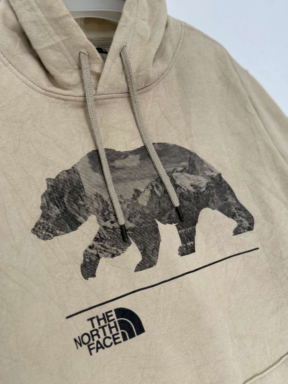 The North Face 🔥 The North Face Hoodie Bear Outdoors Hike Trek Adventure Size US M / EU 48-50 / 2 - 4 Thumbnail