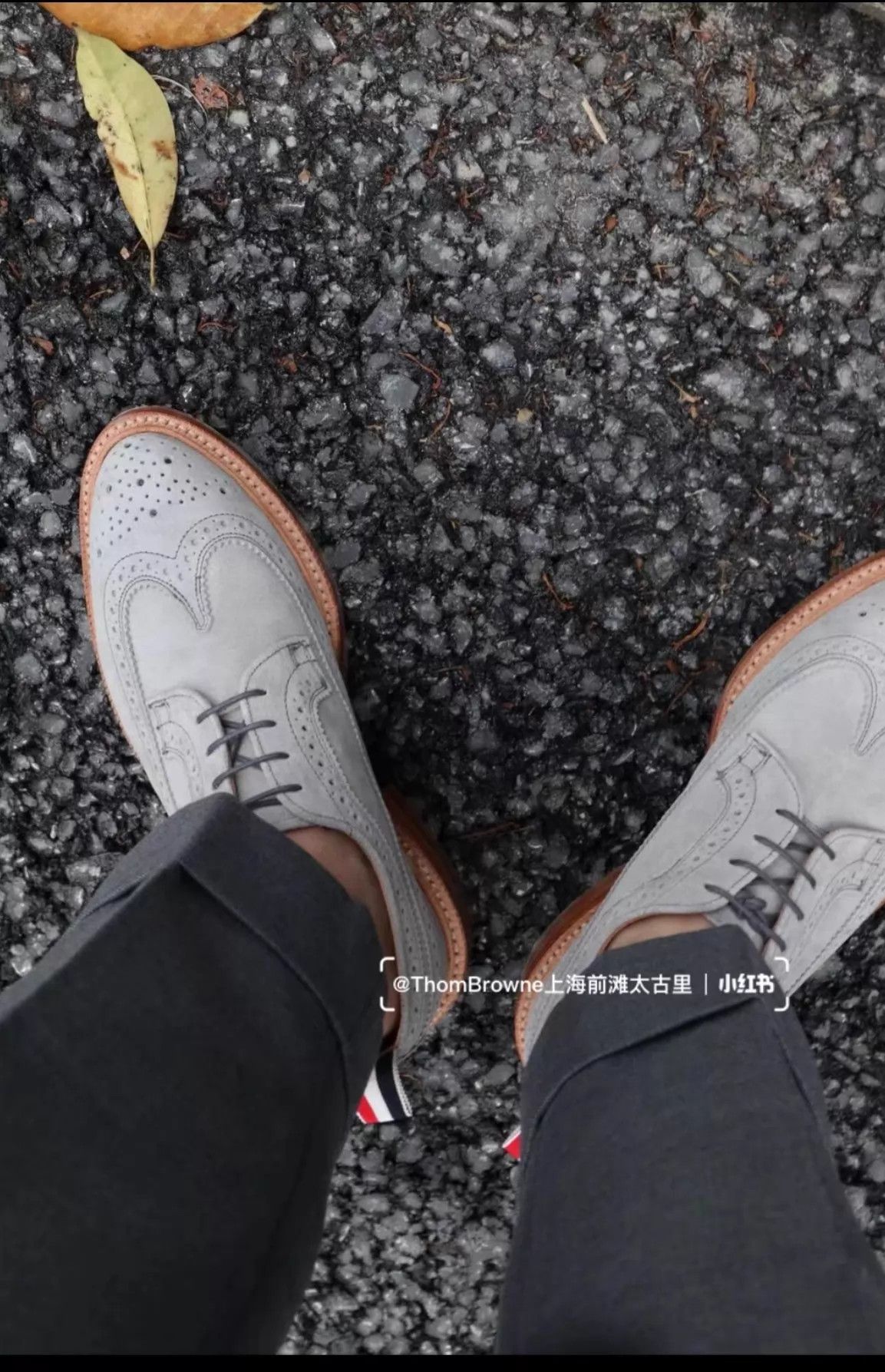 Thom Browne Thom Browne Men's Gray Suede Brogue US9 Shoes Size US 9 / EU 42 - 7 Thumbnail