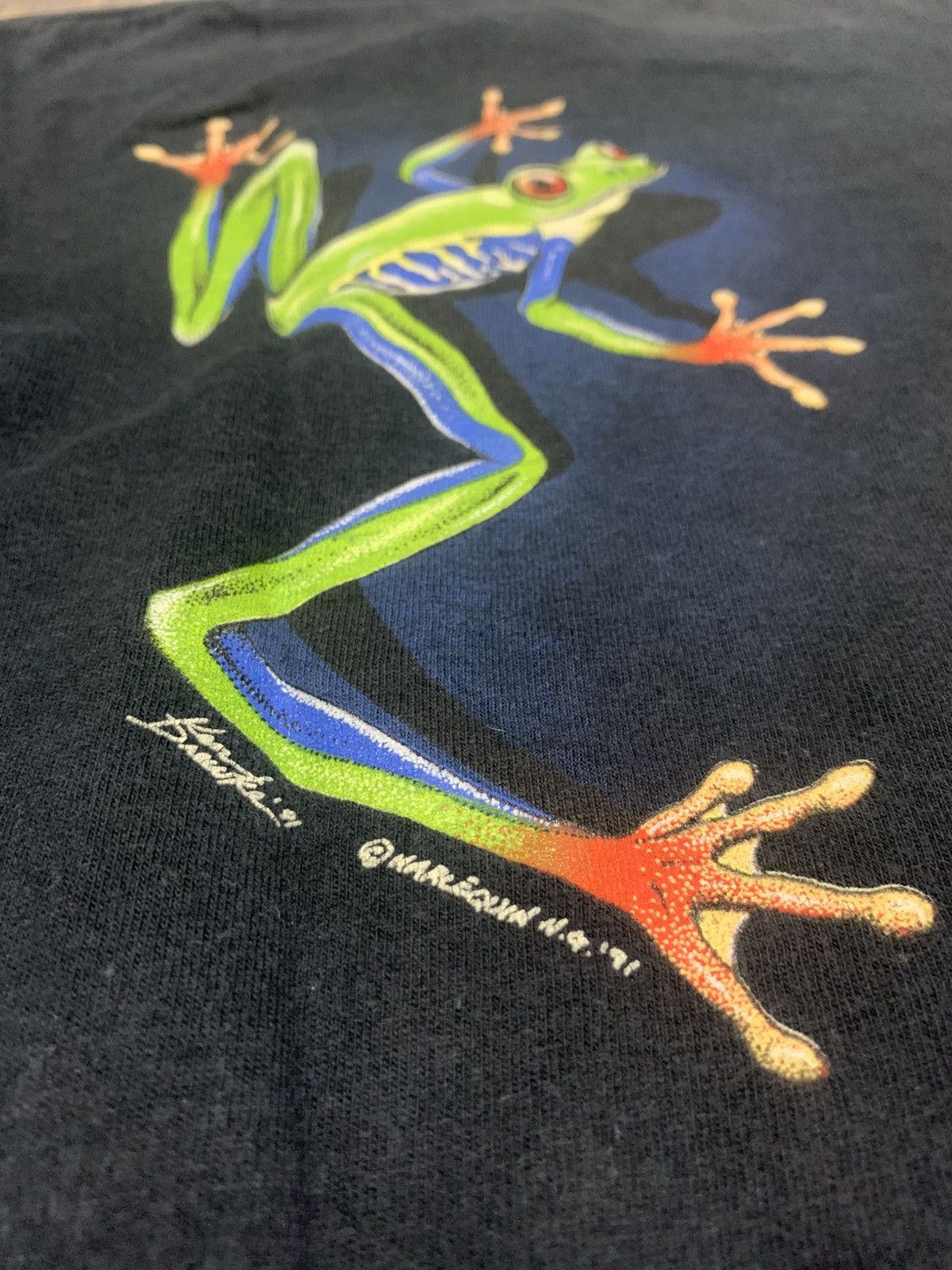 Vintage Vintage 90s Rainforest Frog T-Shirt Ken Drewke Single Stitch Size US M / EU 48-50 / 2 - 9 Thumbnail