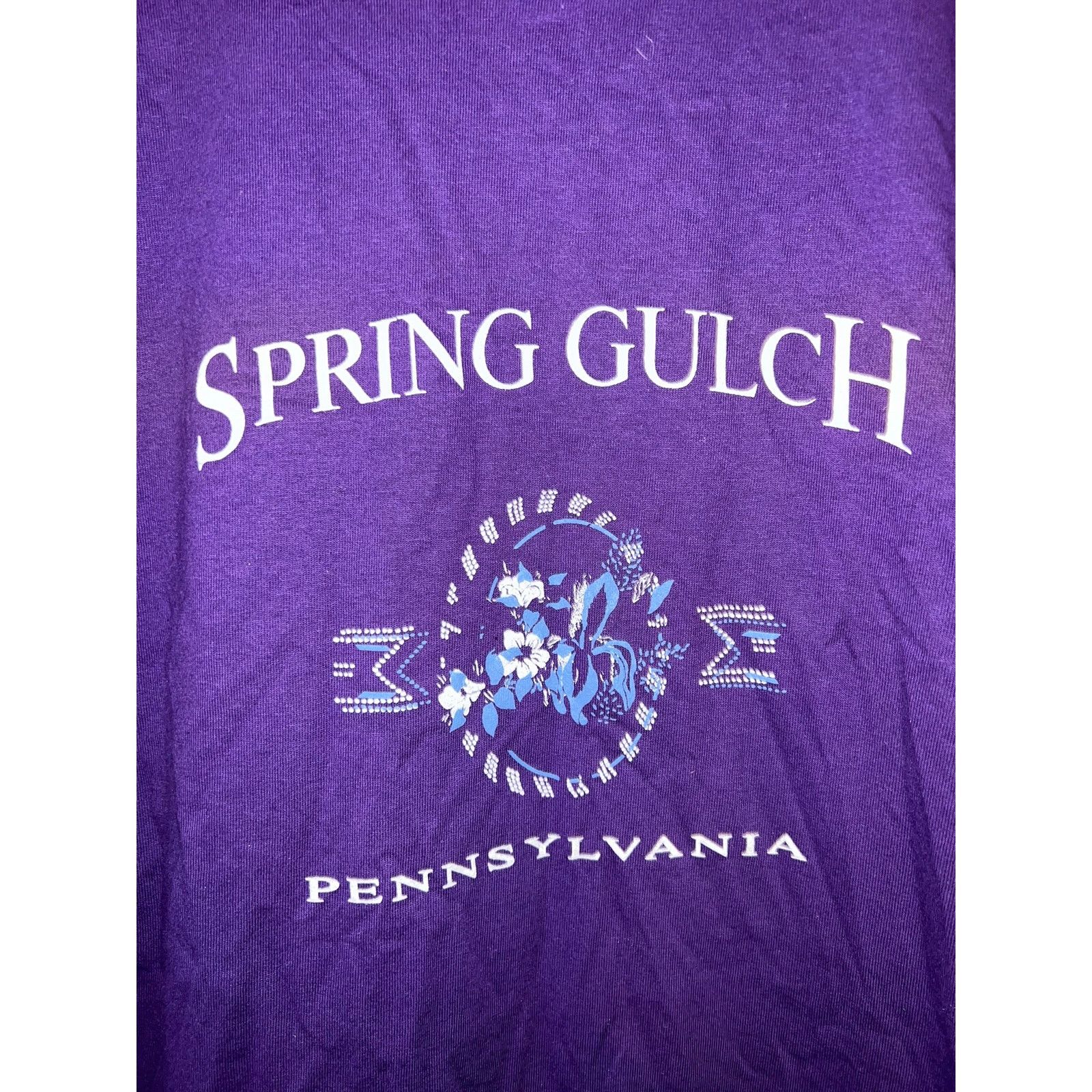 Jerzees Vintage Spring Gulch Shirt PA Purple Graphic Tee 90s VTG L Size US L / EU 52-54 / 3 - 2 Thumbnail