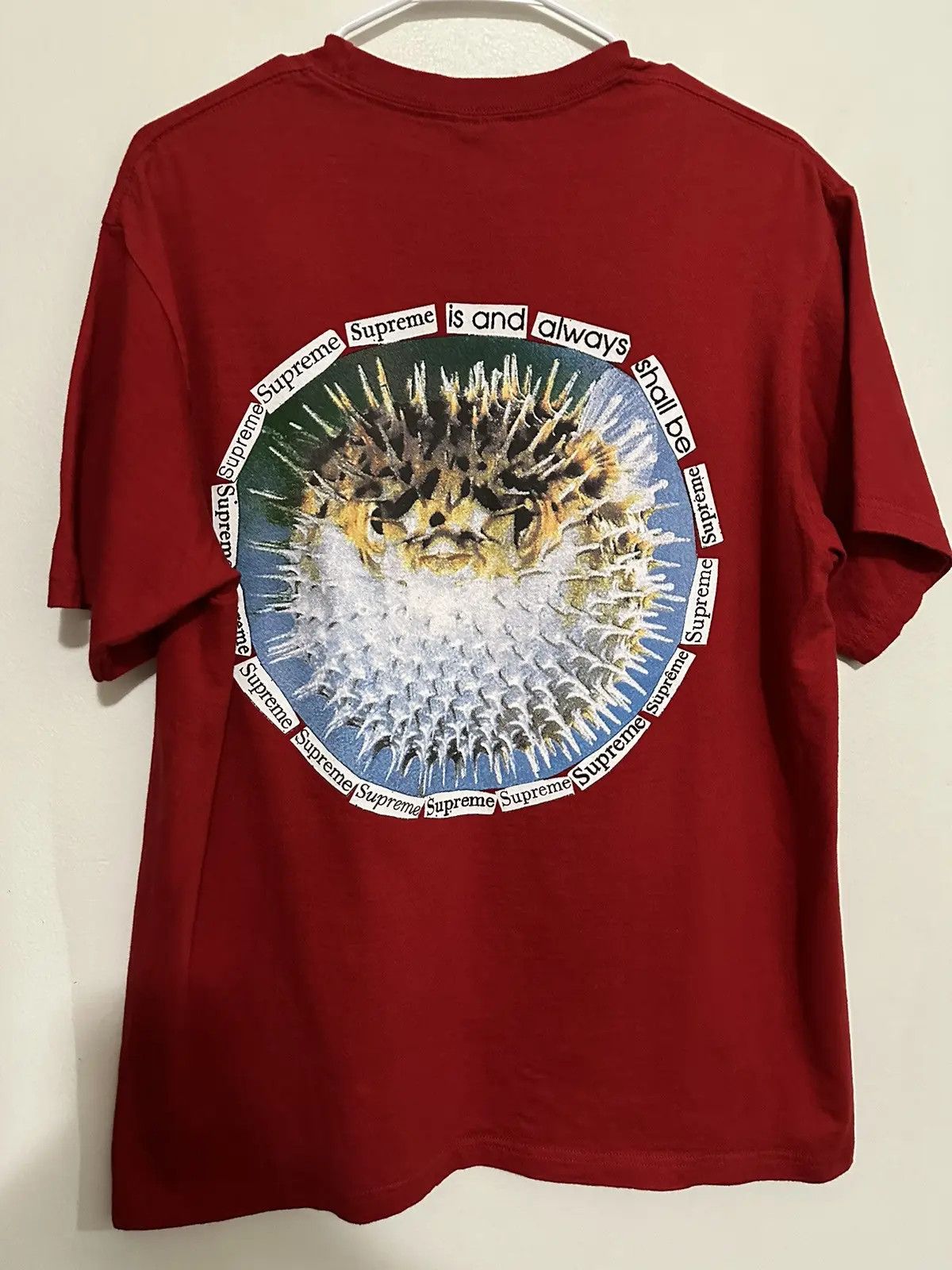 Supreme Supreme Blowfish Tee Size US M / EU 48-50 / 2 - 1 Thumbnail