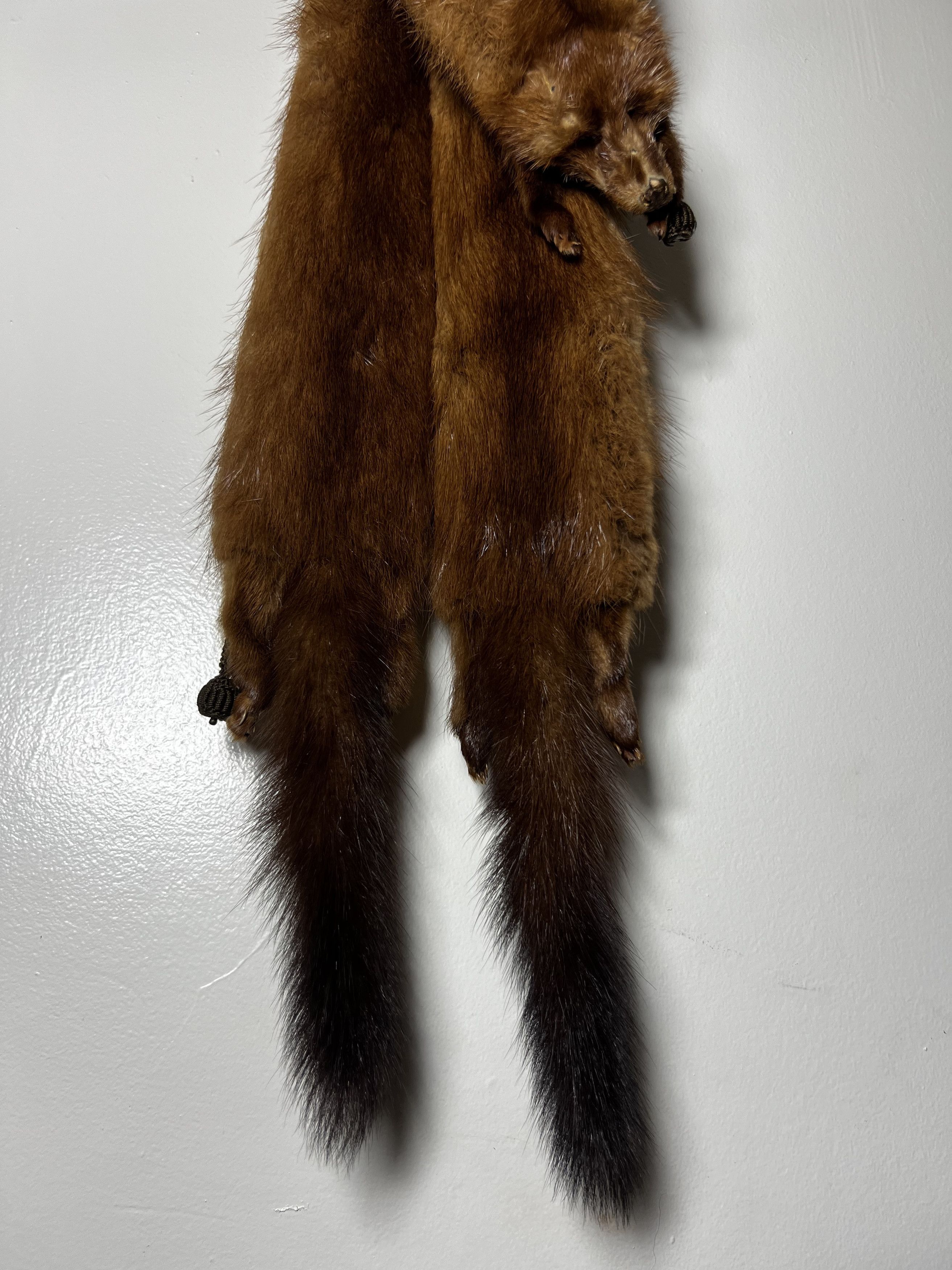 Other × Vintage Vintage 40's-50's Fur Taxidermy Pelt Collar - Mink Stole Size ONE SIZE - 4 Thumbnail