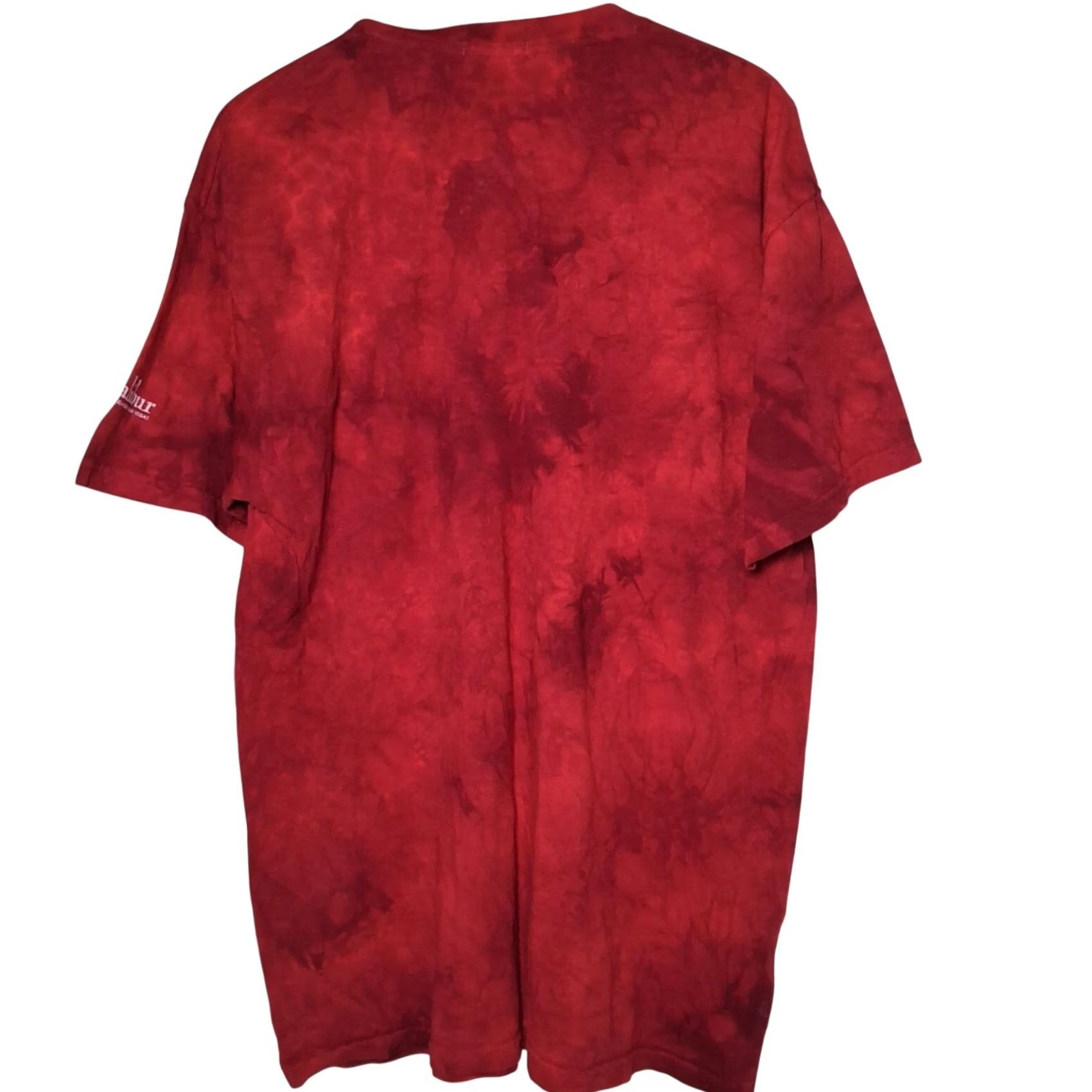 The Mountain VINTAGE The Mountain Flaming Skull Shirt L Red Excalibur Casino Las Vegas 2005 Penfound Mens Size US L / EU 52-54 / 3 - 3 Thumbnail