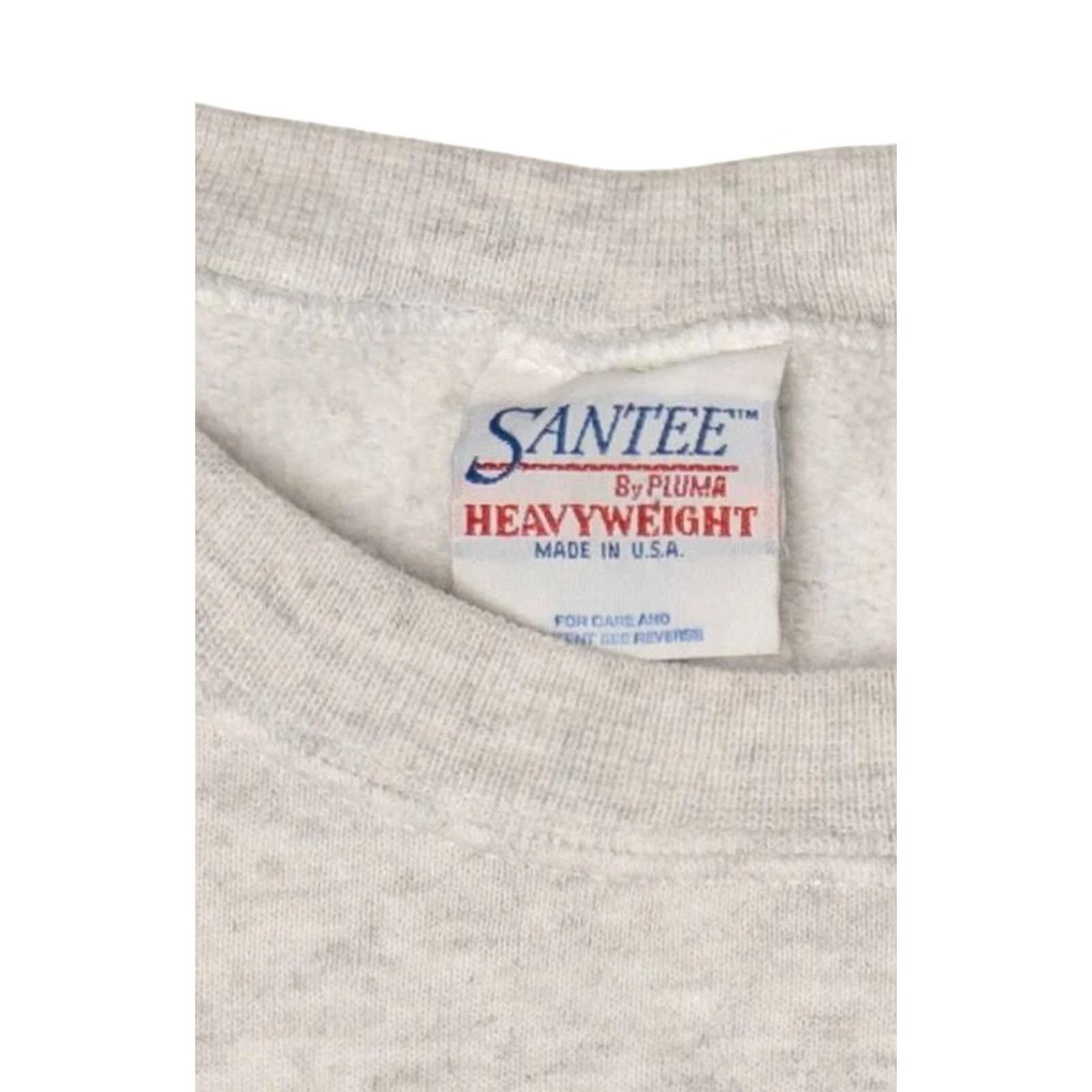 Vintage VINTAGE Santee San Francisco Sweatshirt 1990s Sweatshirt Grey Medium Mens Womens Boys Girls Size US M / EU 48-50 / 2 - 3 Thumbnail