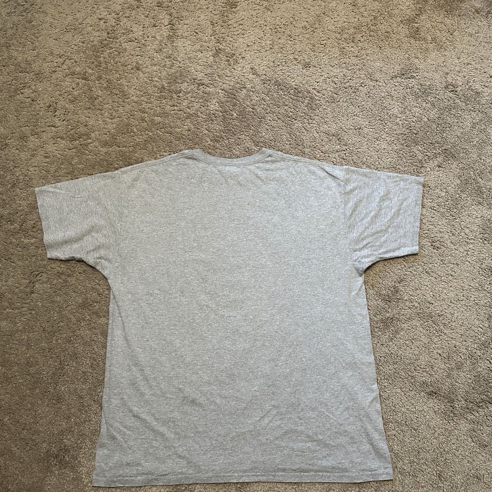Anvil VINTAGE Anvil Shirt Mens 2XL Gray Cotton Graphic Print Miami Zoo White Tiger Nature Animals 90s Theme Short Sleeve Crew Neck T-Shirt Size US XXL / EU 58 / 5 - 4 Thumbnail