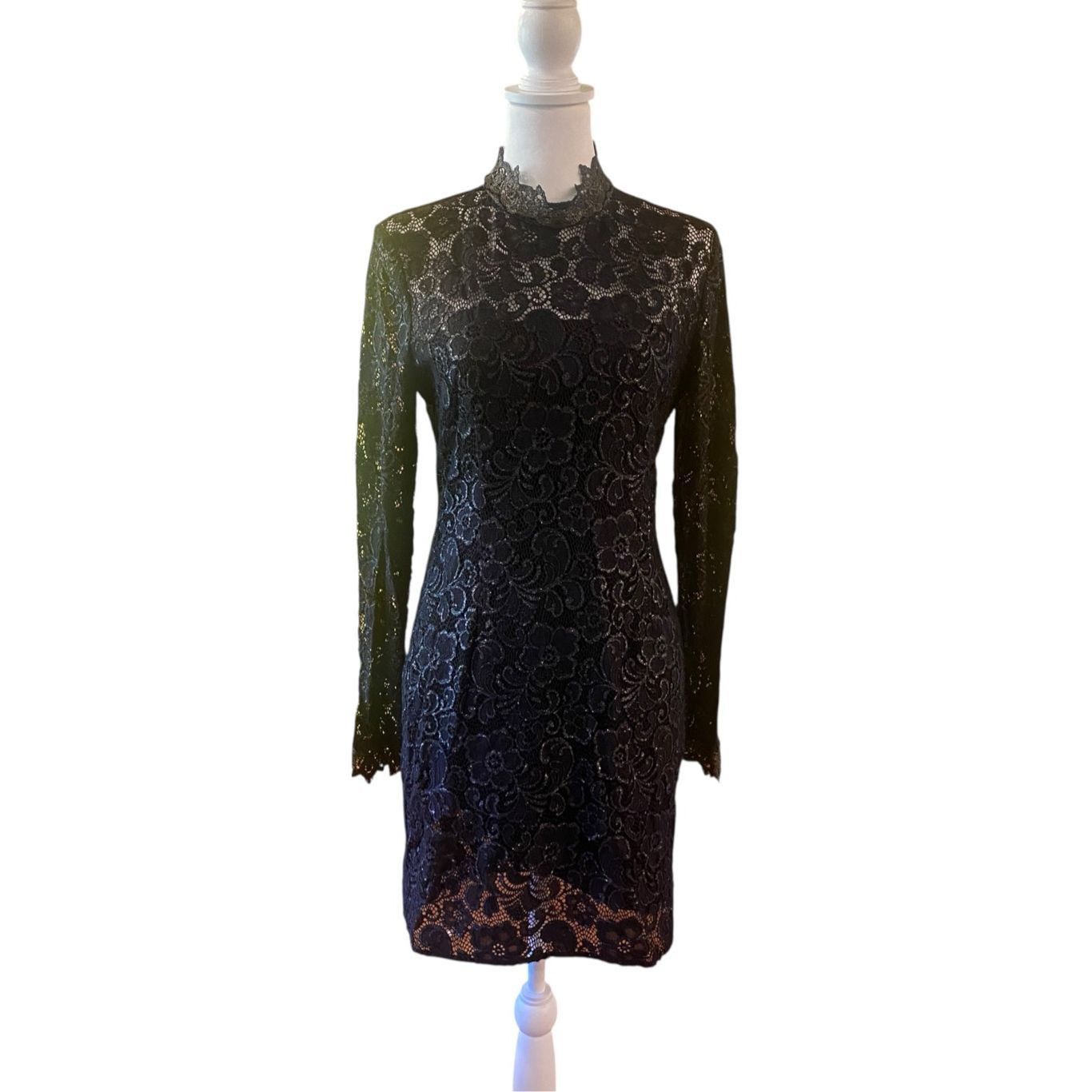 Rachel Zoe Rachel Zoe Metallic Hunter Lace Detail Muddy Dress in Black Size M / US 6-8 / IT 42-44 - 1 Thumbnail