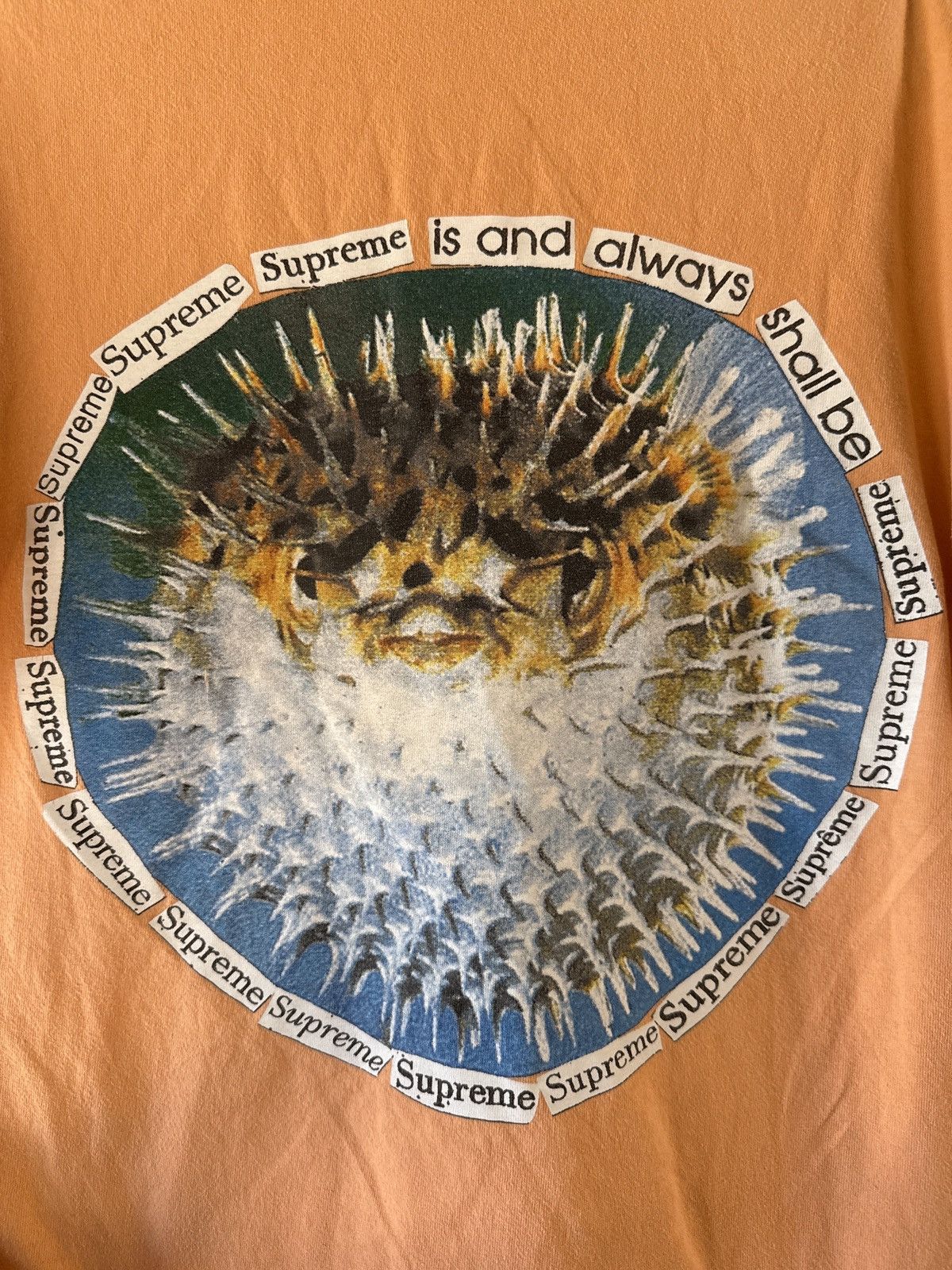 Supreme Supreme Prickly Pear Tee Size US S / EU 44-46 / 1 - 1 Thumbnail