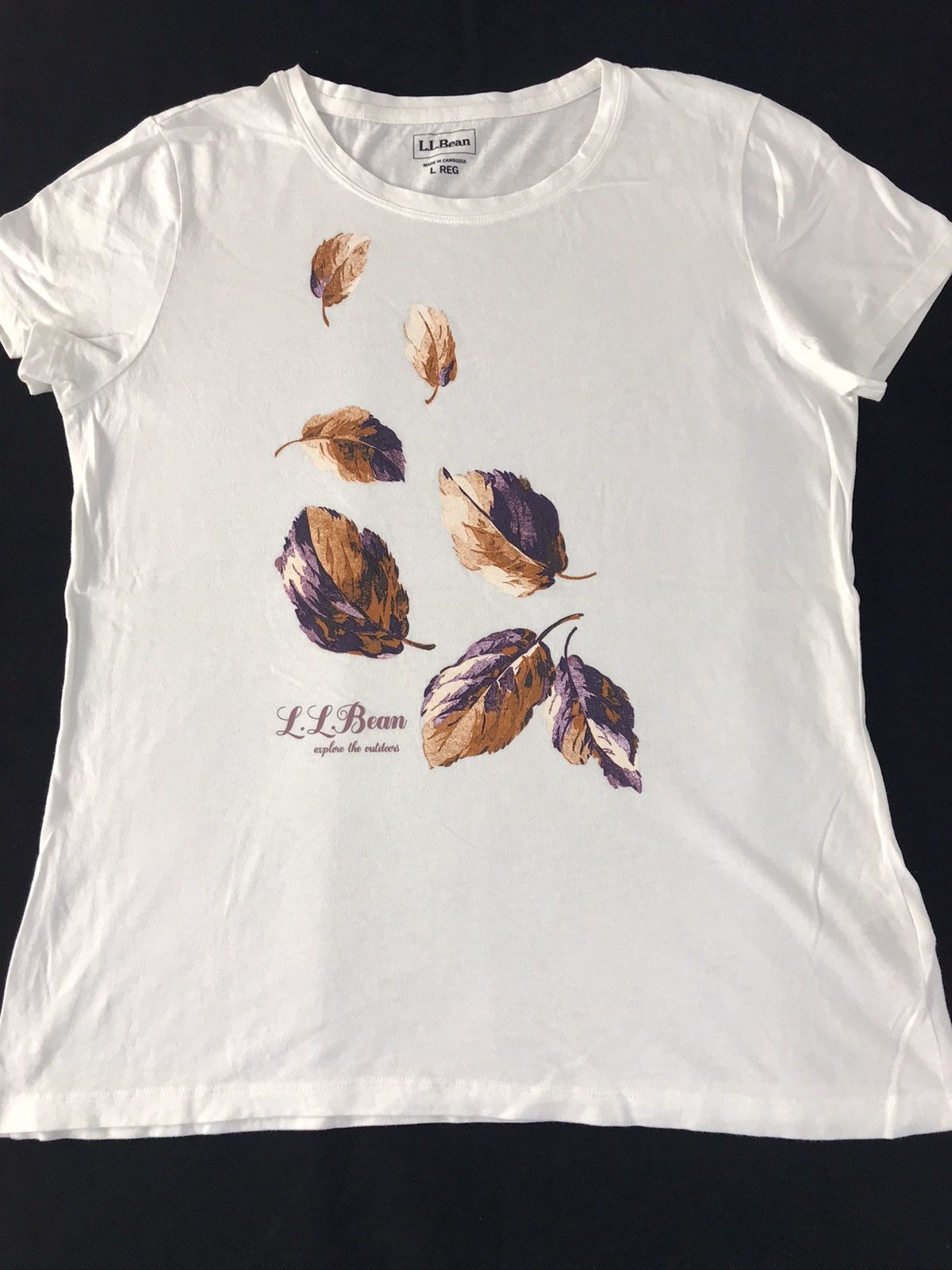 L.L. Bean LL Bean Explore The Outdoor Falling Dead Leave Logo Tee Size L / US 10 / IT 46 - 2 Thumbnail