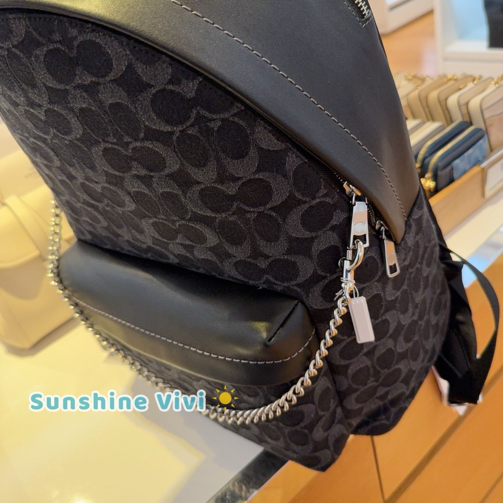 Coach NWT Bundle Coach Taylor Backpack CDC49 & CR466 Chain Strap Size ONE SIZE - 5 Thumbnail