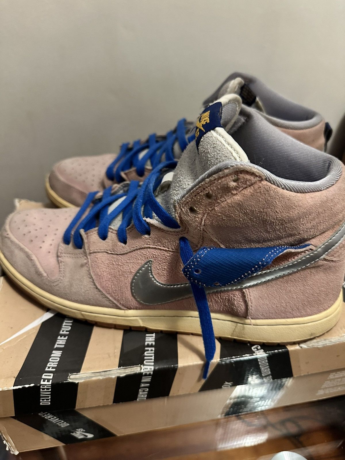 Nike SB Nike SB When Pigs Fly Size US 11 / EU 44 - 11 Thumbnail