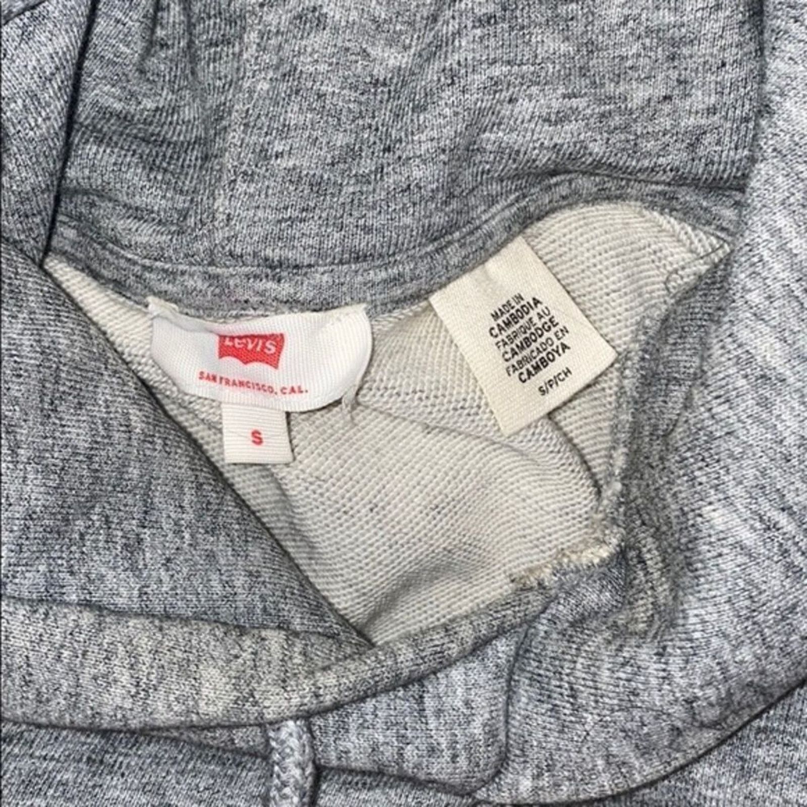 Levi's Levi's Logo Patch Oversize Hoodie in Gray | Size S Size S / US 4 / IT 40 - 5 Thumbnail