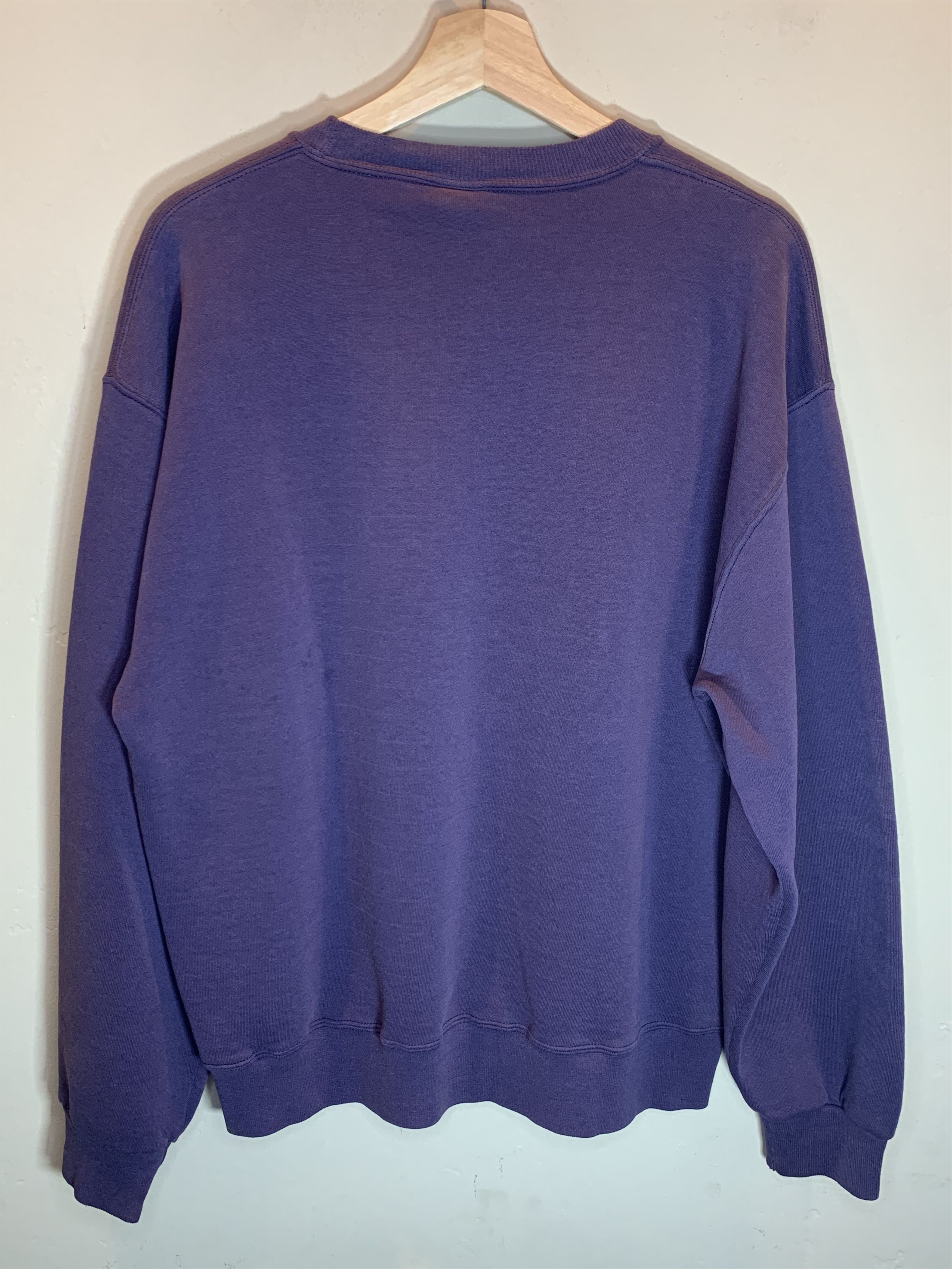 Russell Athletic RARE Vintage 90’s Single V Faded Russell Crewneck Sweatshirt Size US L / EU 52-54 / 3 - 2 Thumbnail