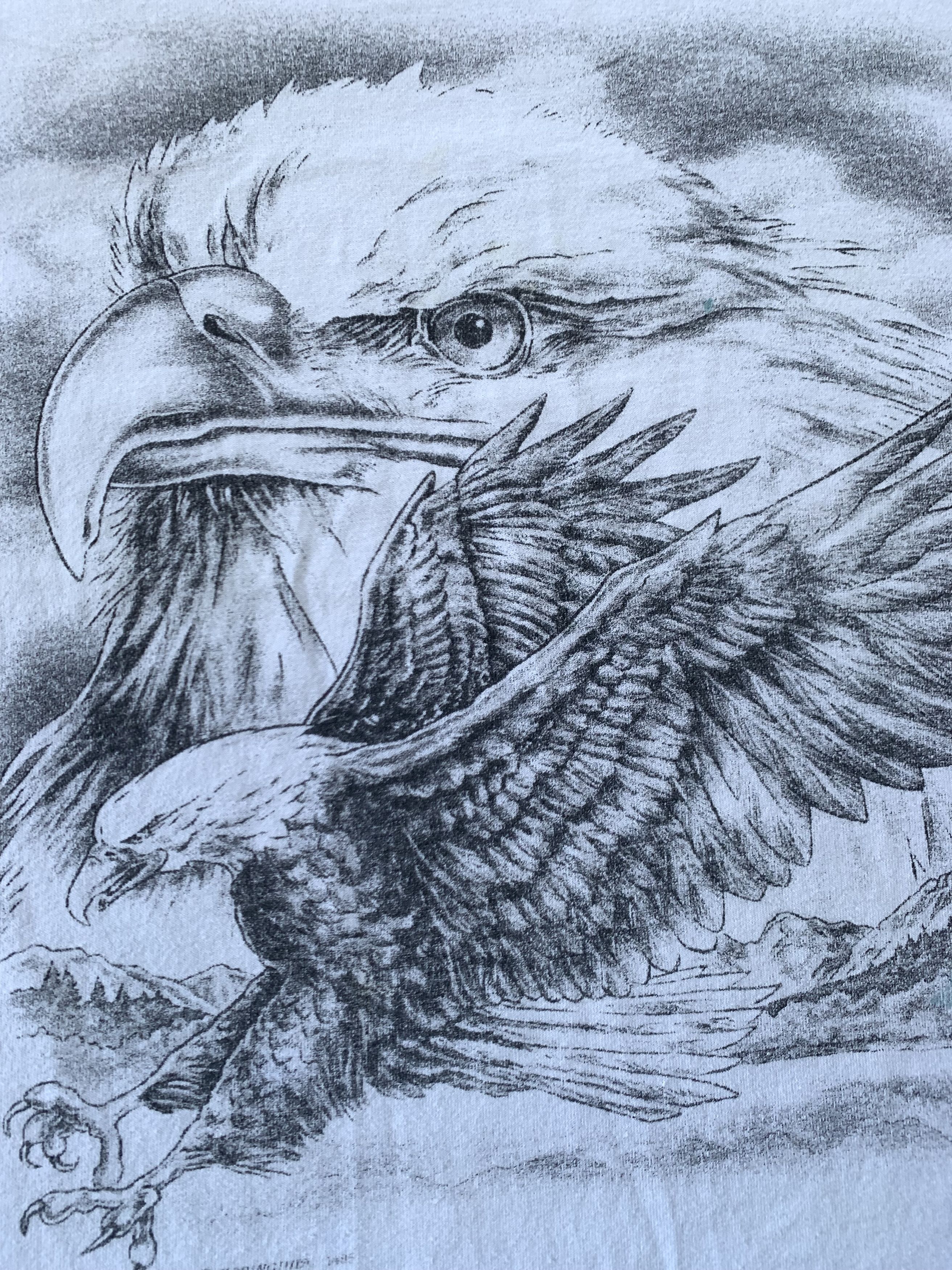 Habitat × Hanes × Vintage Vintage Rare Hanes Springhill Eagle T-Shirt 1985 Size US M / EU 48-50 / 2 - 7 Thumbnail