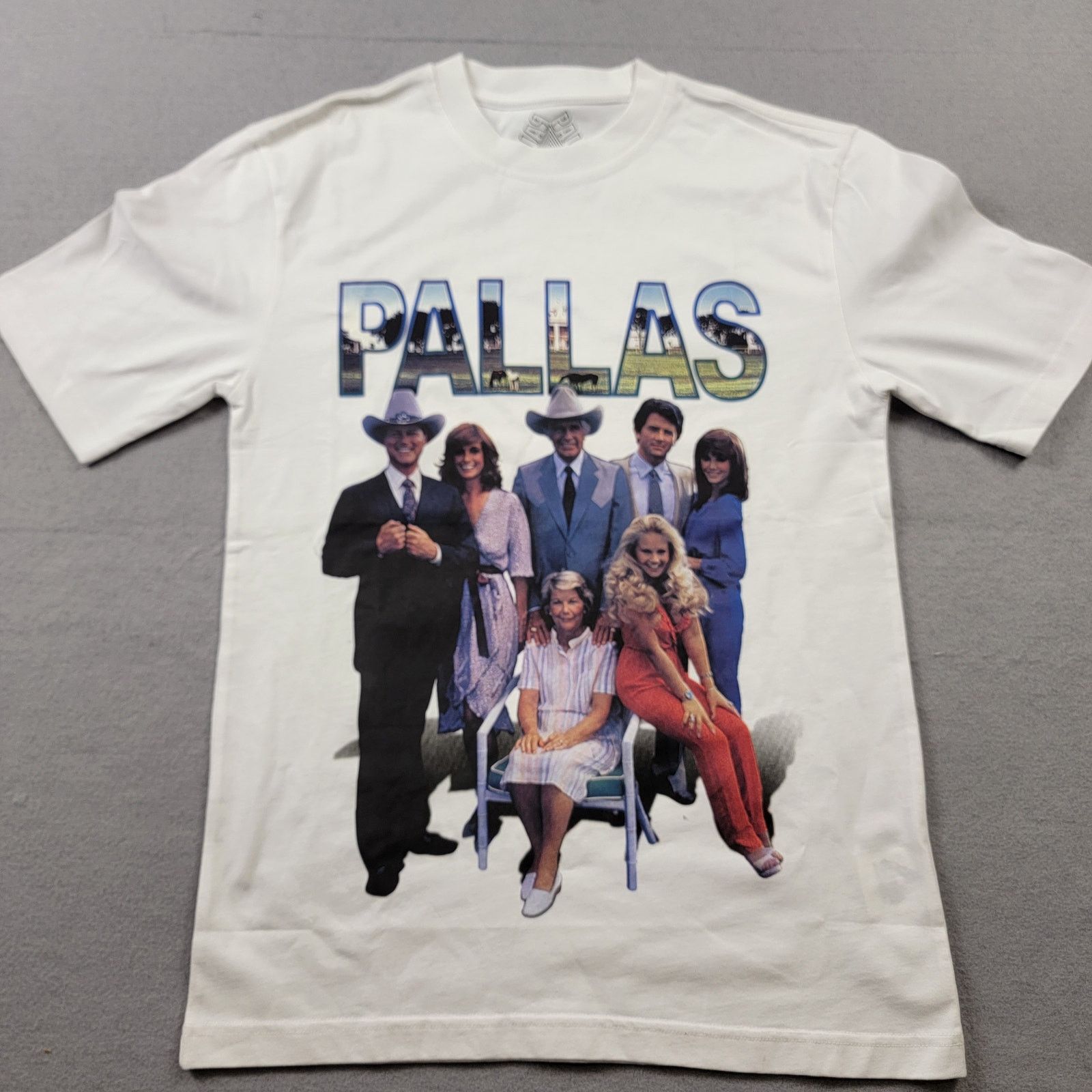 Palace Palace Skateboards PALLAS Family T Sz S White New (553) Size US S / EU 44-46 / 1 - 1 Thumbnail