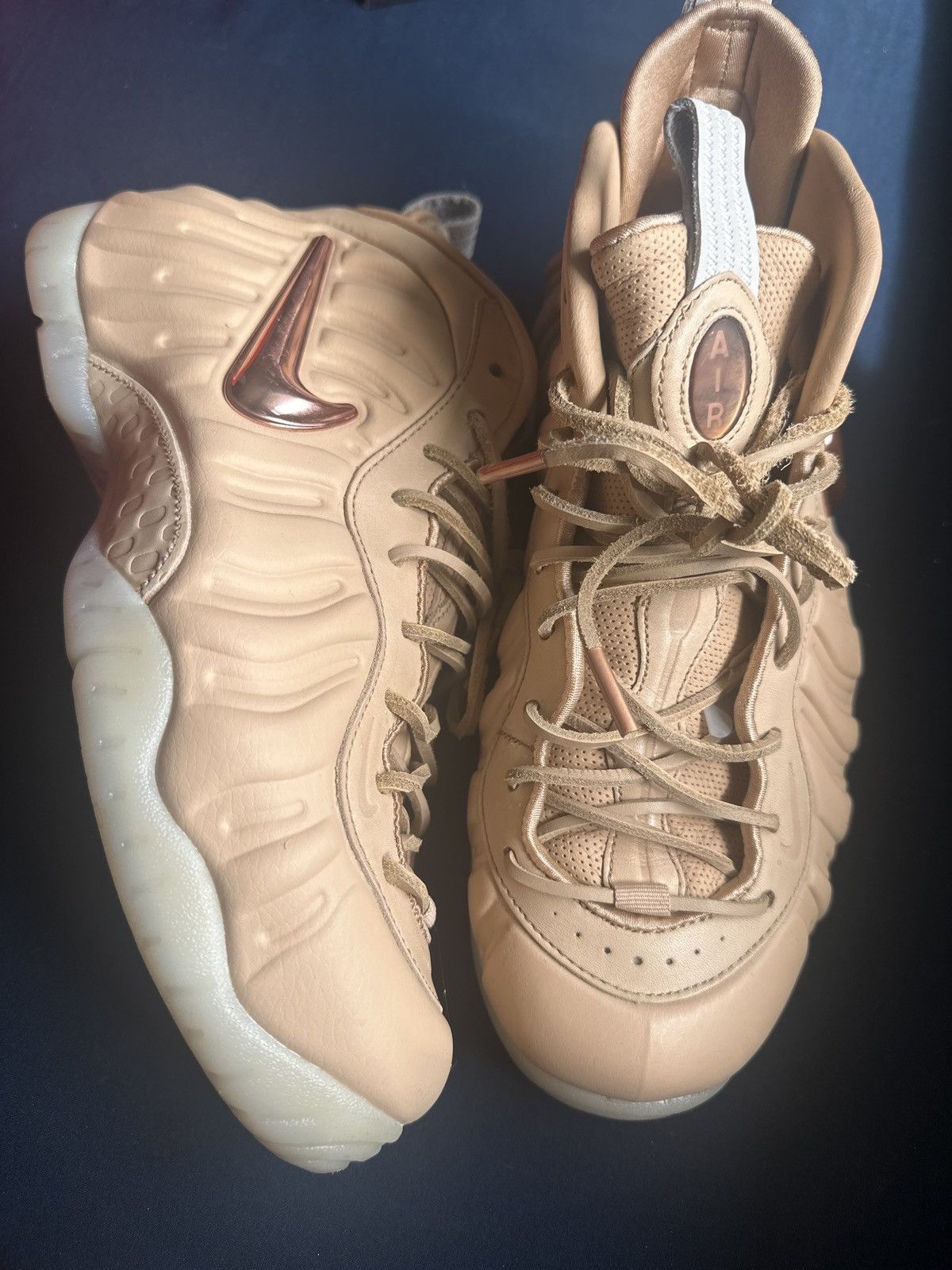 Air foamposite pro