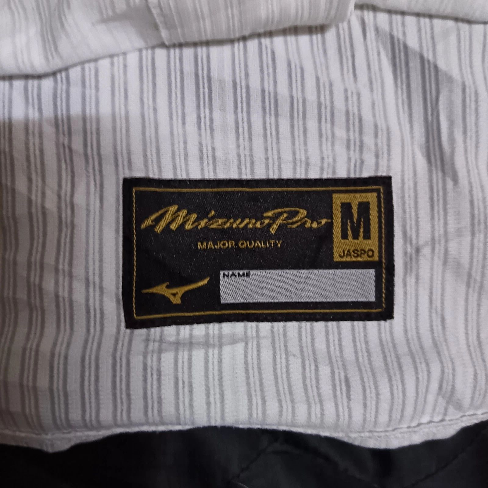 Mizuno Aichi Dione Ayumi Terabe JWBL Japanese Baseball Jersey Size M / US 6-8 / IT 42-44 - 3 Thumbnail