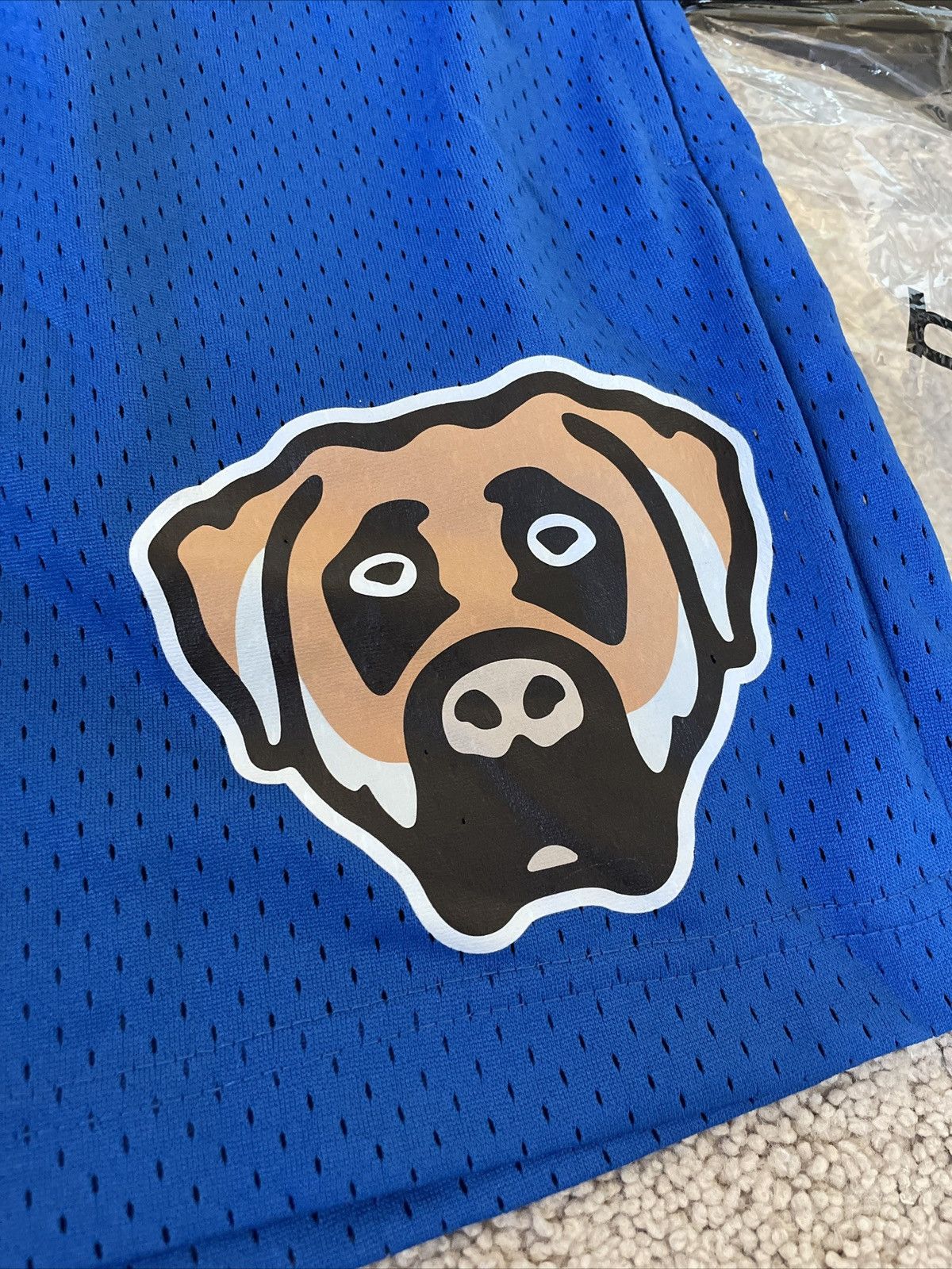 Bravest Studios Bravest Studios Shorts - Victor Blue Dog - Size Medium Size US 30 / EU 46 - 2 Thumbnail