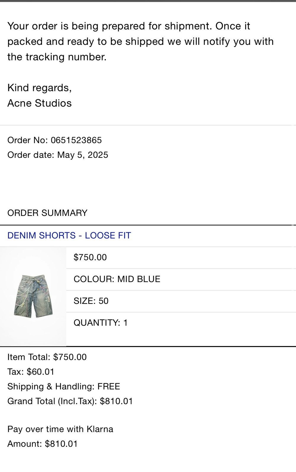 Acne Studios Acne Studios Shorts - Size 50 Size US 34 / EU 50 - 10 Thumbnail