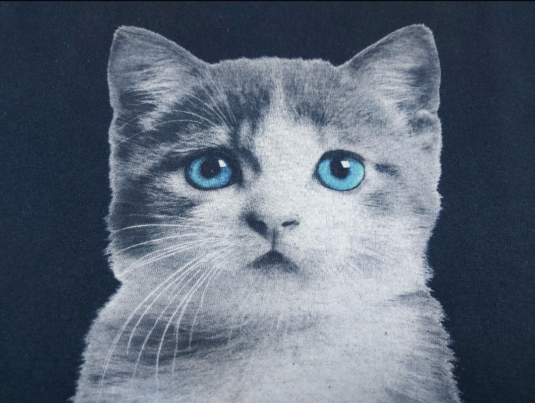 Band Tees Vintage MISS MAY I Band Stay Metal Cat Double-Sided TEE Size US XL / EU 56 / 4 - 5 Thumbnail
