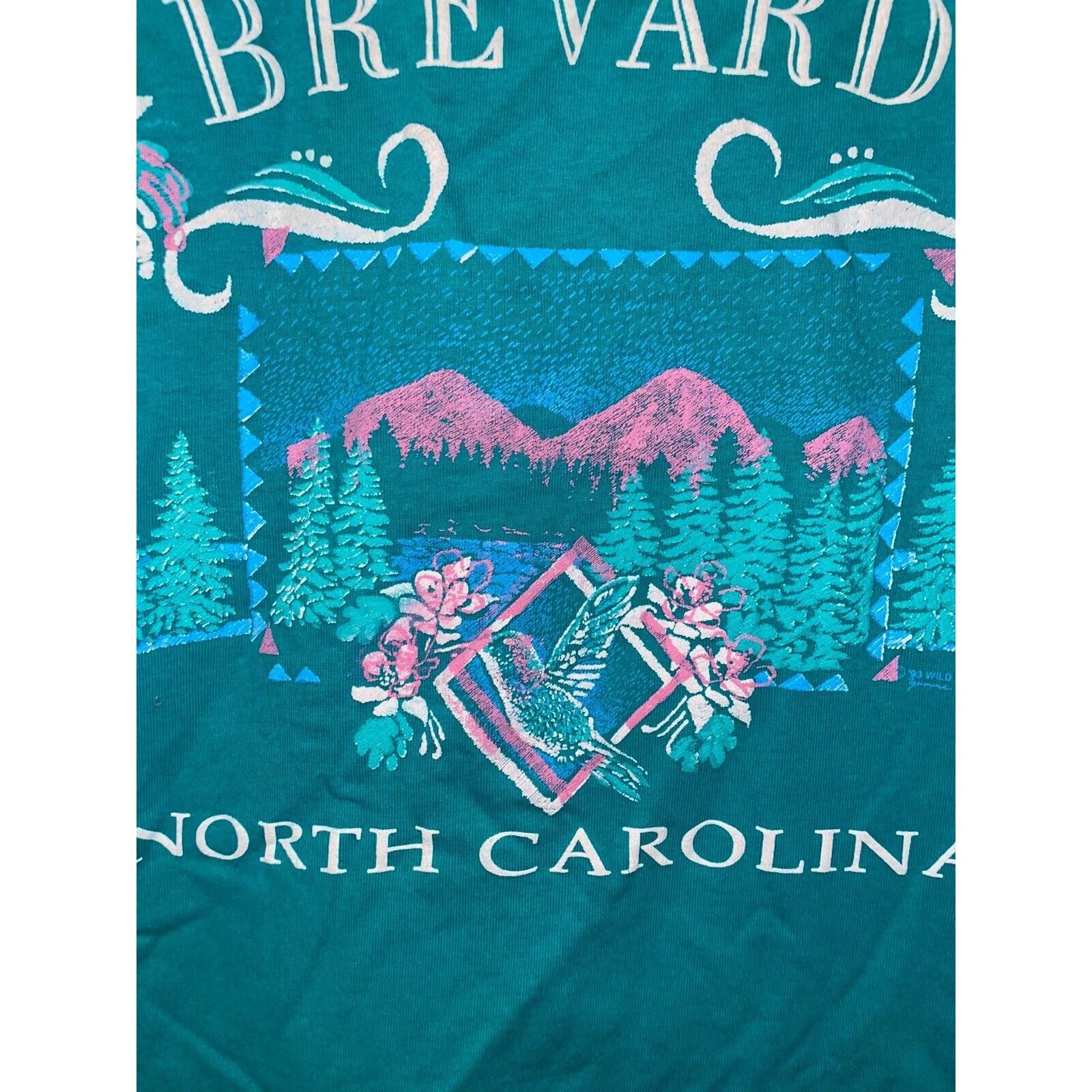 Jerzees Vintage Brevard North Carolina Shirt teal Tee VTG 90s Medium Size US M / EU 48-50 / 2 - 6 Thumbnail