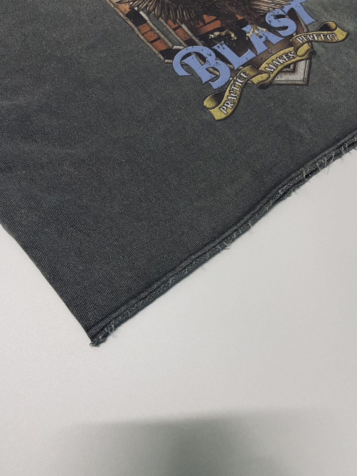 Other BLAST Eagle Graphic Cropped CREW NECK SWEATSHIRT Size M / US 6-8 / IT 42-44 - 10 Thumbnail