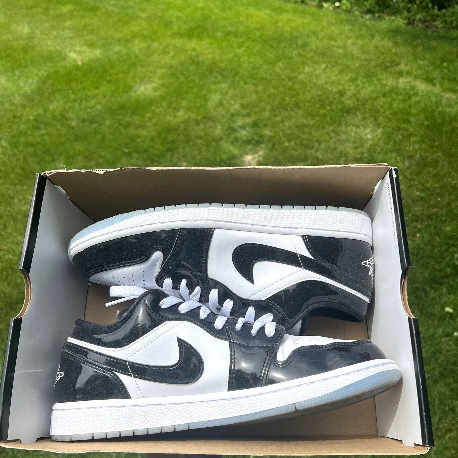 Nike Air Jordan Low SE Concord Men's Sneakers Size 10