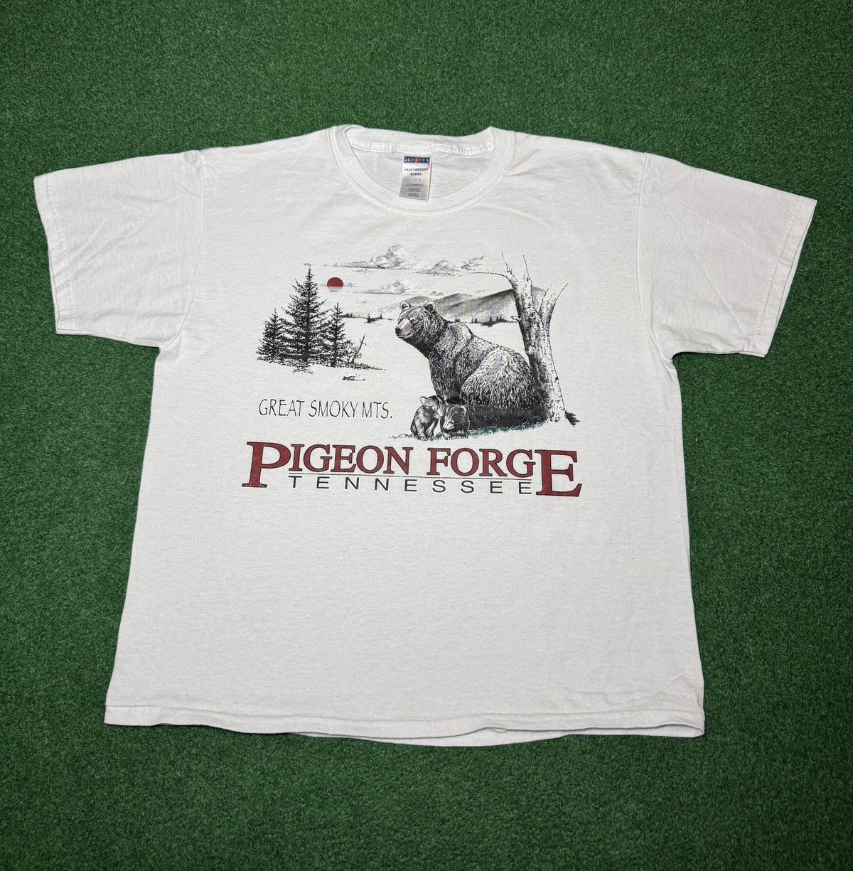 Vintage Vtg Pigeon Force Tennessee Smokey Mountains Nature T Shirt Size US M / EU 48-50 / 2 - 1 Thumbnail