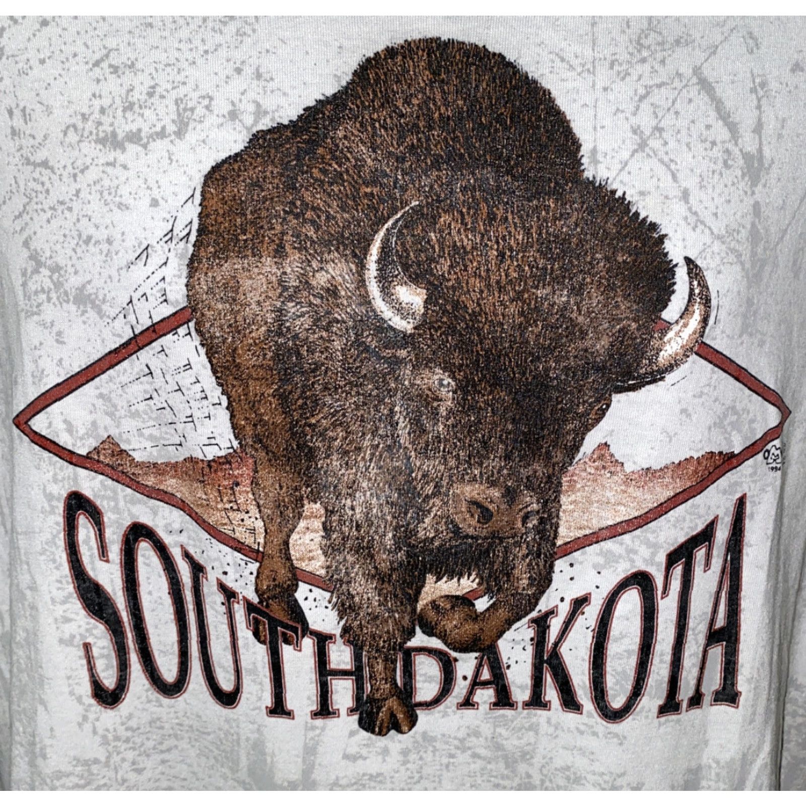 Fruit Of The Loom VINTAGE Fruit of the Loom T-Shirt SOUTH DAKOTA Graphic Man White Size L Mens Regular Short Sleeve Cotton/Polyester Size US L / EU 52-54 / 3 - 2 Thumbnail