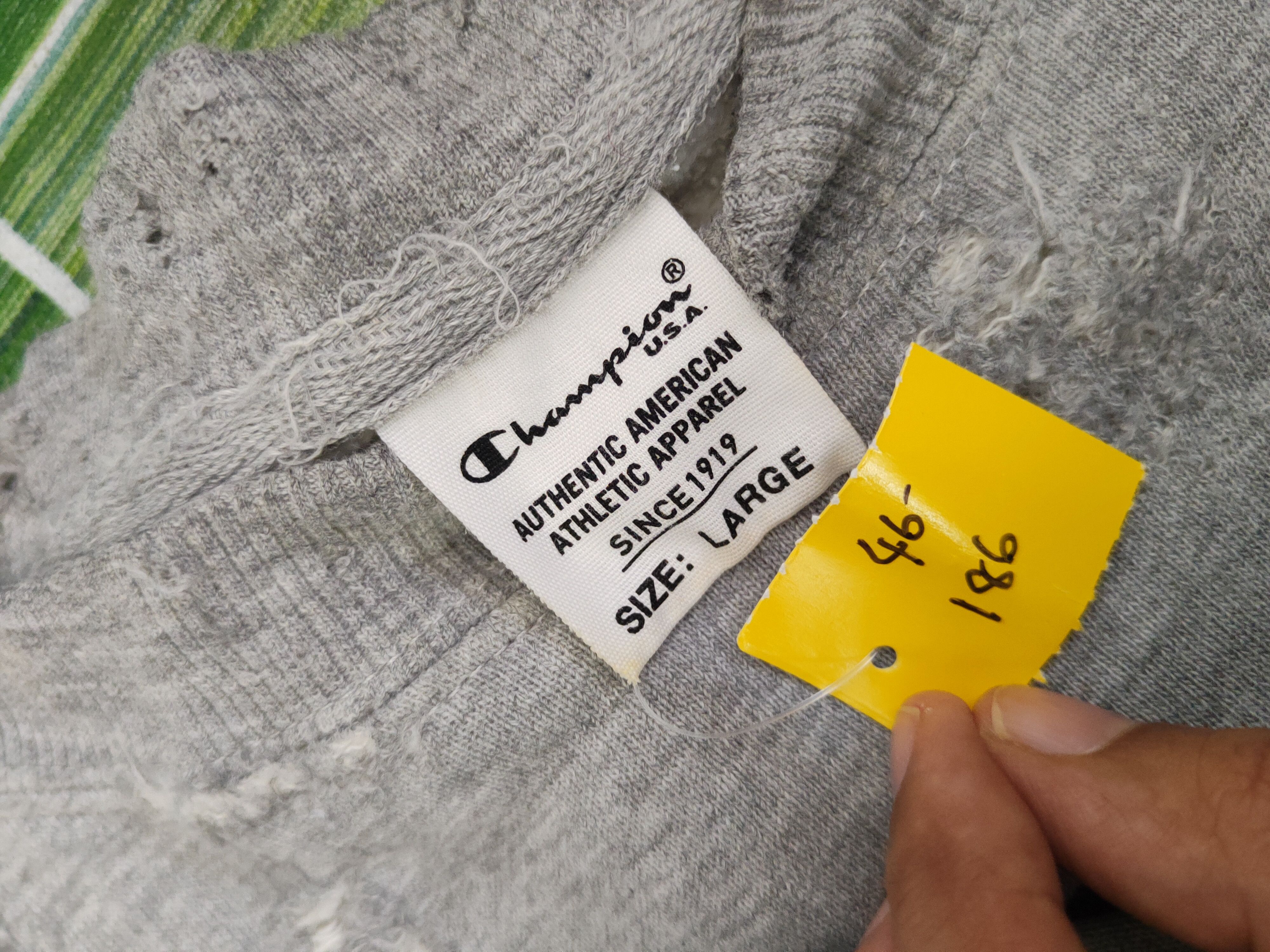 Champion DL Champion Gray Sweatshirts #46-186 Size US L / EU 52-54 / 3 - 14 Thumbnail