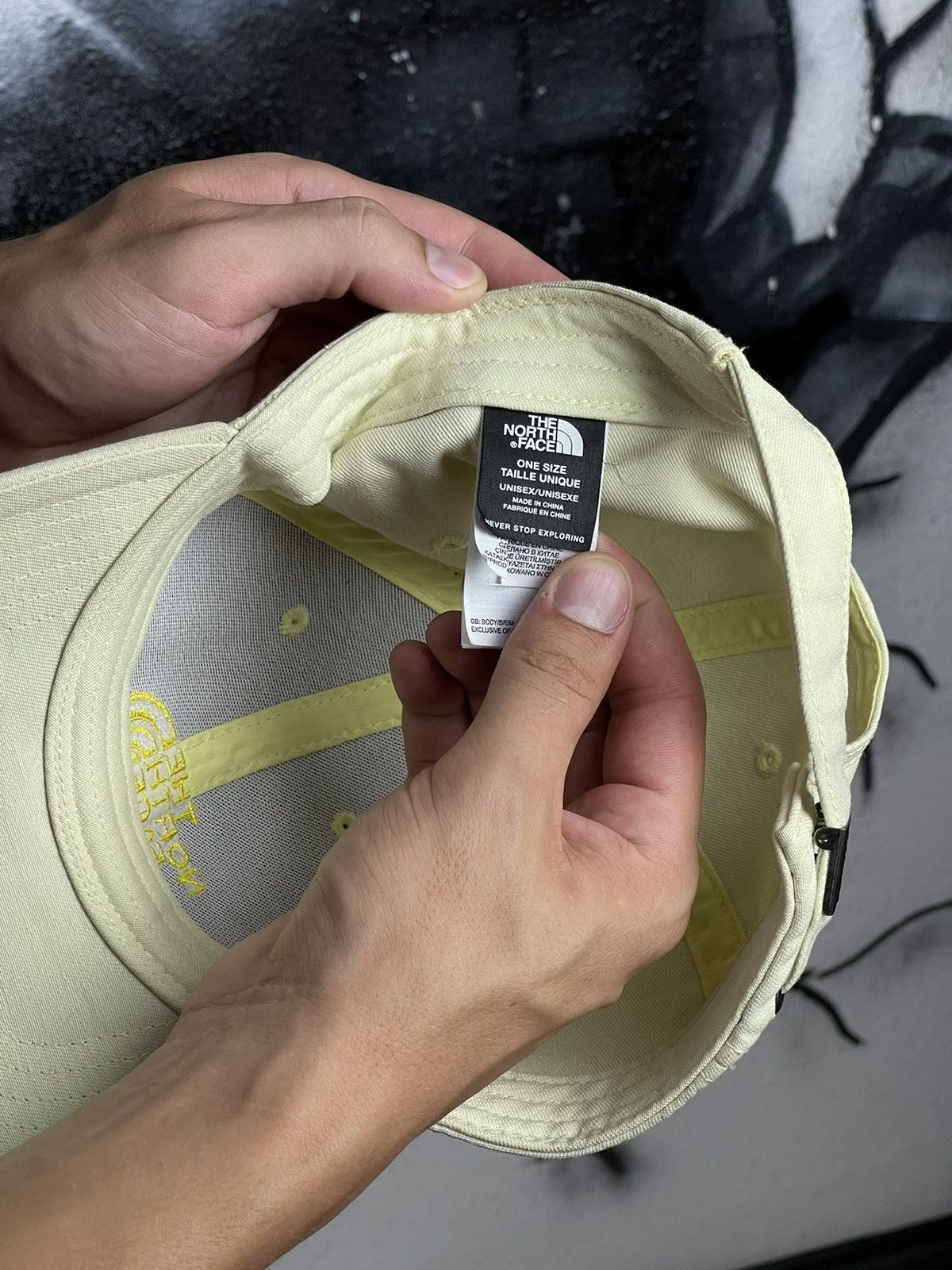 The North Face The North Face Norm Cap Size ONE SIZE - 5 Thumbnail