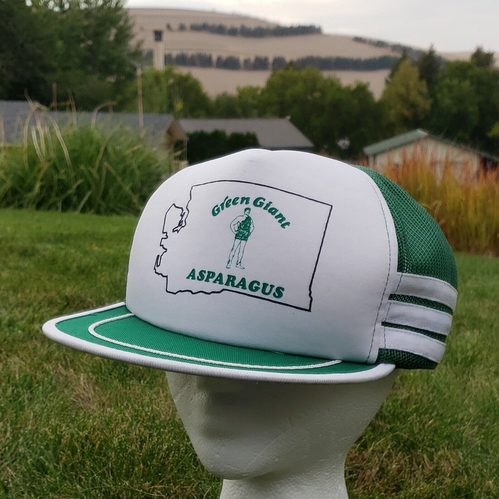 Vintage 3 Stripe 5 Panel Hat Green Giant Asparagus Snapback Foam Vin Size ONE SIZE - 1 Thumbnail