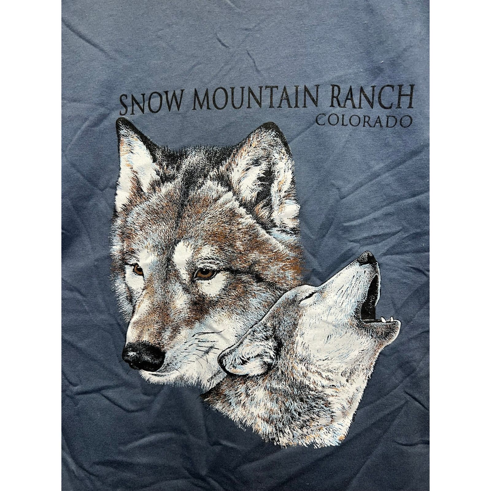 Anvil Vintage Snow Mountain Ranch Shirt Wolf Wolves Tee 90s M Size US M / EU 48-50 / 2 - 2 Thumbnail