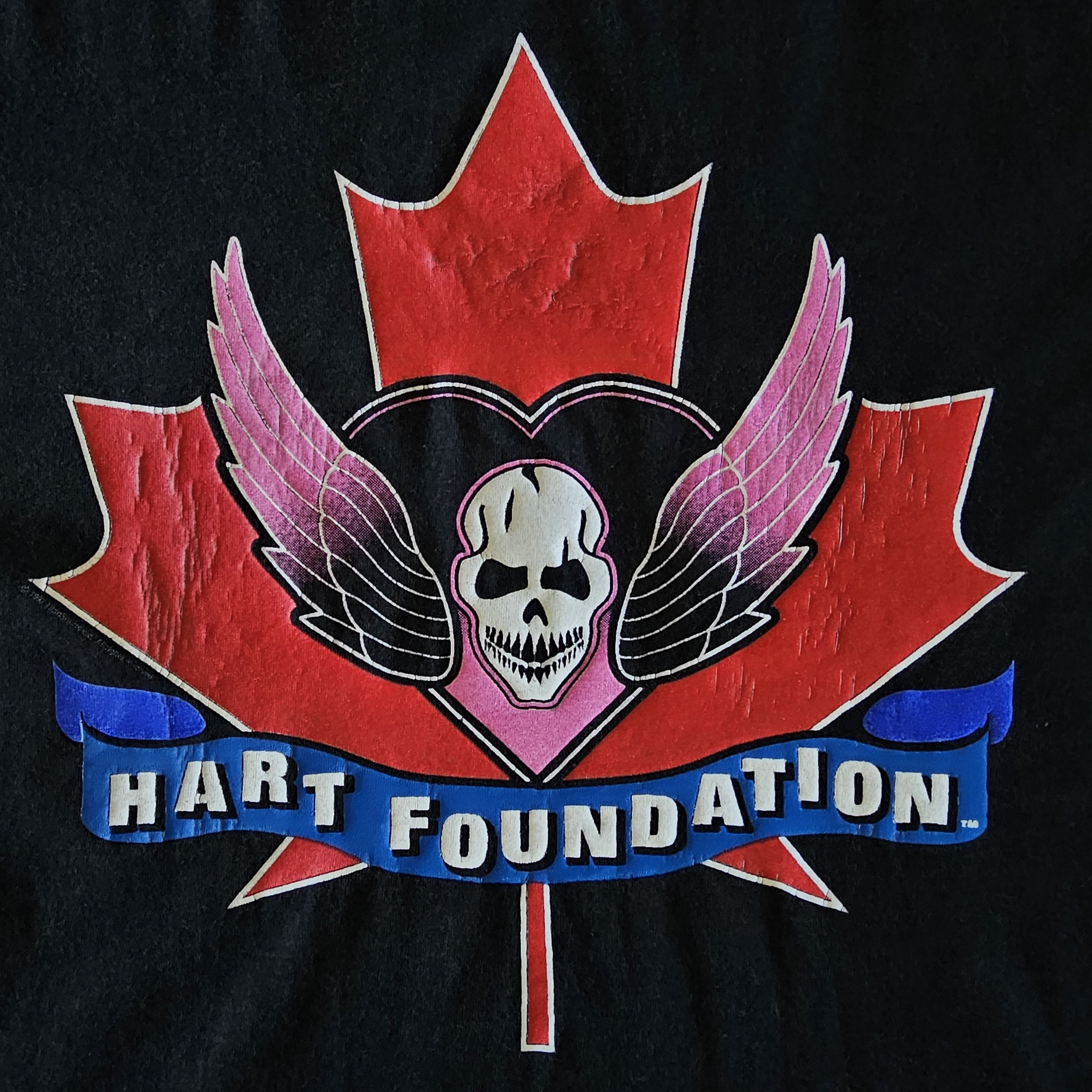 WWE × WWF Vintage 90's WWF WWE Bret Hart Foundation tee shirt Size US XL / EU 56 / 4 - 2 Thumbnail