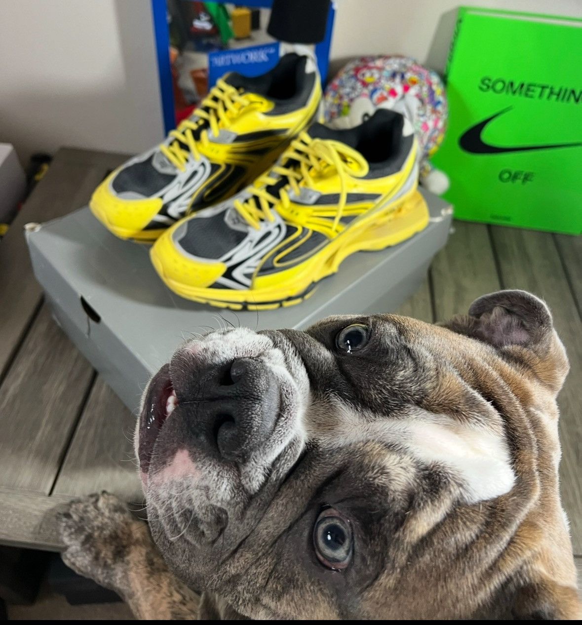 Balenciaga Balenciaga X Pander Yellow Sneakers Size 44 Size US 11 / EU 44 - 2 Thumbnail