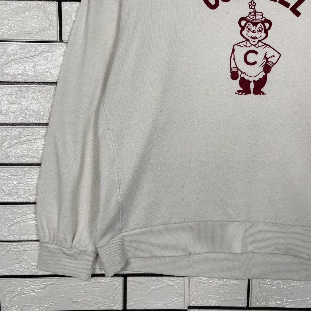 Other Cornell University Pullover Hoodie Size M / US 6-8 / IT 42-44 - 3 Thumbnail