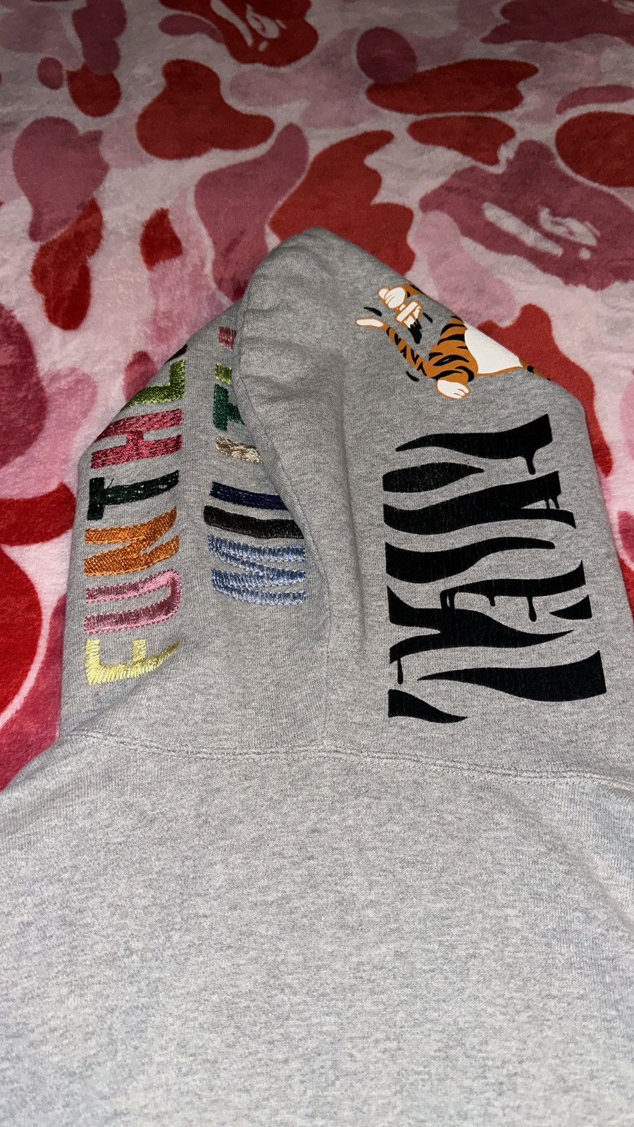 Bape × Nigo Tiger Full Zip Hoodie Size US M / EU 48-50 / 2 - 3 Thumbnail