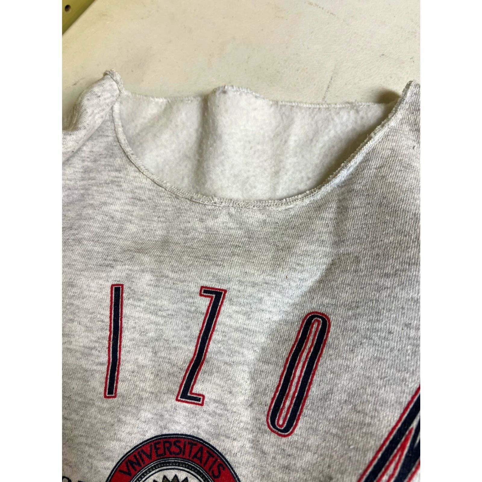Vintage VINTAGE Arizona College Varsity Tucson Modified Gray Sweatshirt Long Sleeve Men's L Gray Cotton Blend Pullover Sweatshirt Size US L / EU 52-54 / 3 - 4 Thumbnail