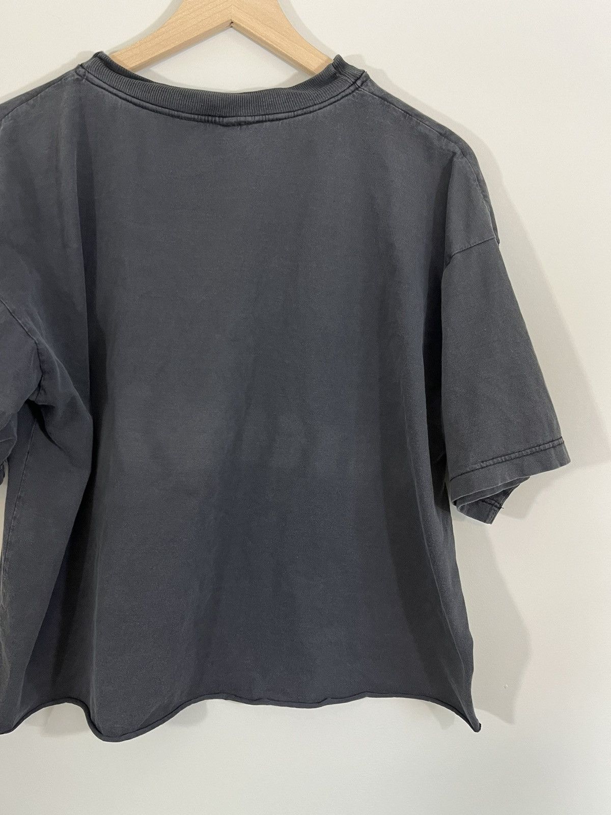 Vintage Sun Faded Thrashed Wild And Free Cropped Horse Tee Size US XL / EU 56 / 4 - 10 Thumbnail