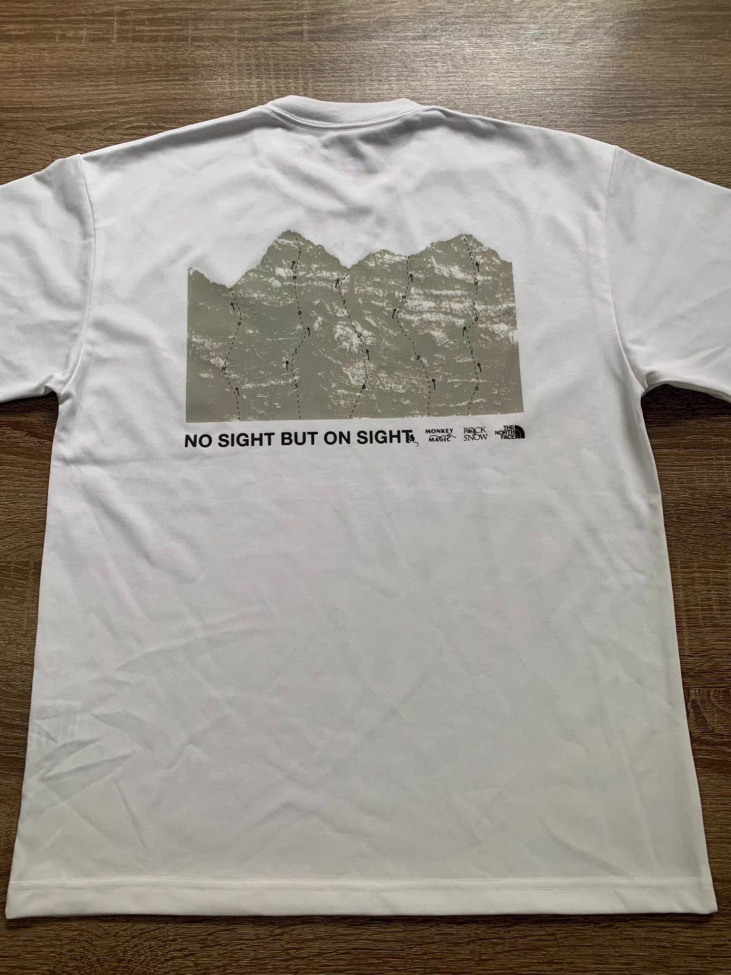 The North Face THE NORTH FACE Stainless Steel Monkey Magic T-shirt Ｑ22 Size US M / EU 48-50 / 2 - 2 Thumbnail