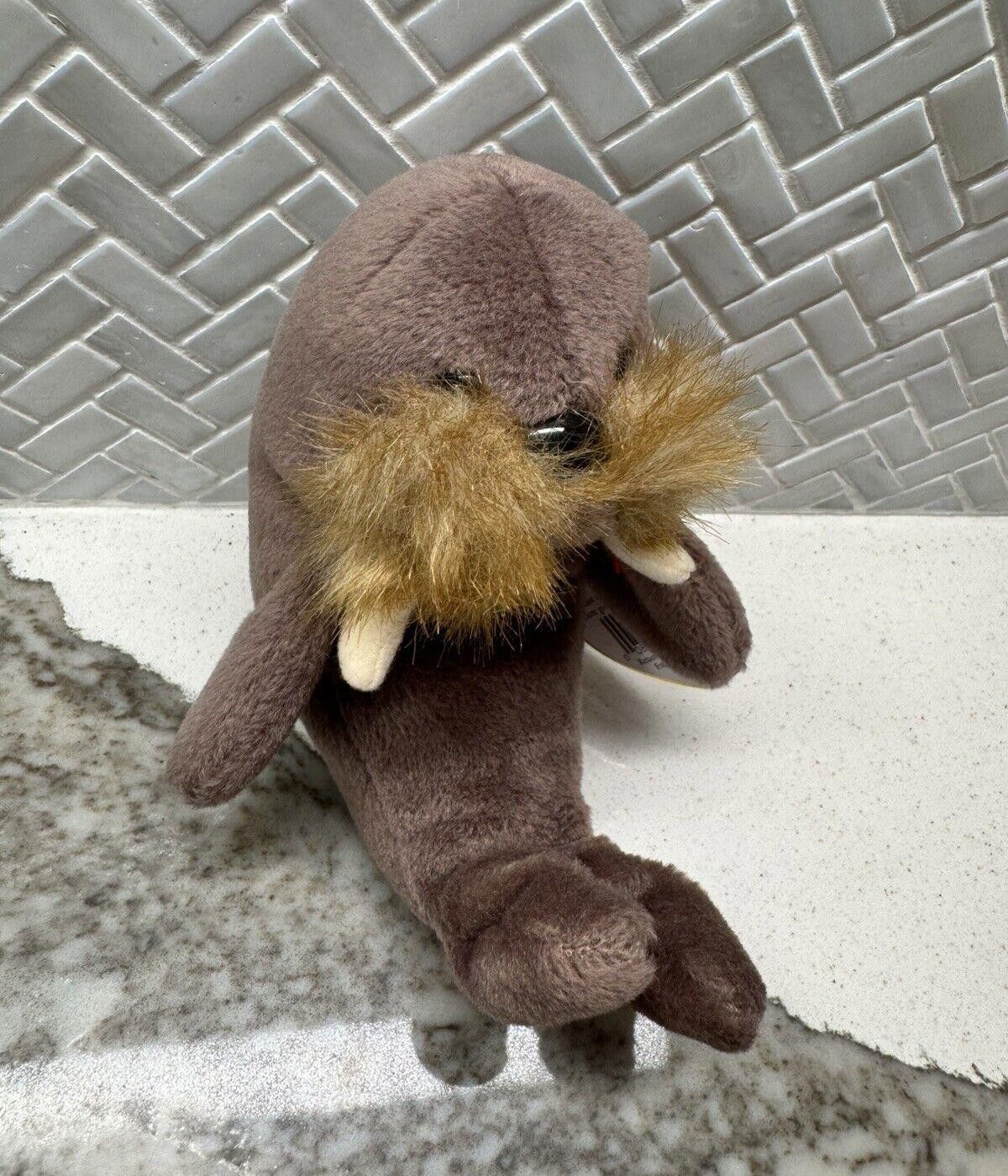 Designer Rare 1996 Retired Ty Beanie Baby Plush Animal Jolly Walrus Size ONE SIZE - 1 Thumbnail