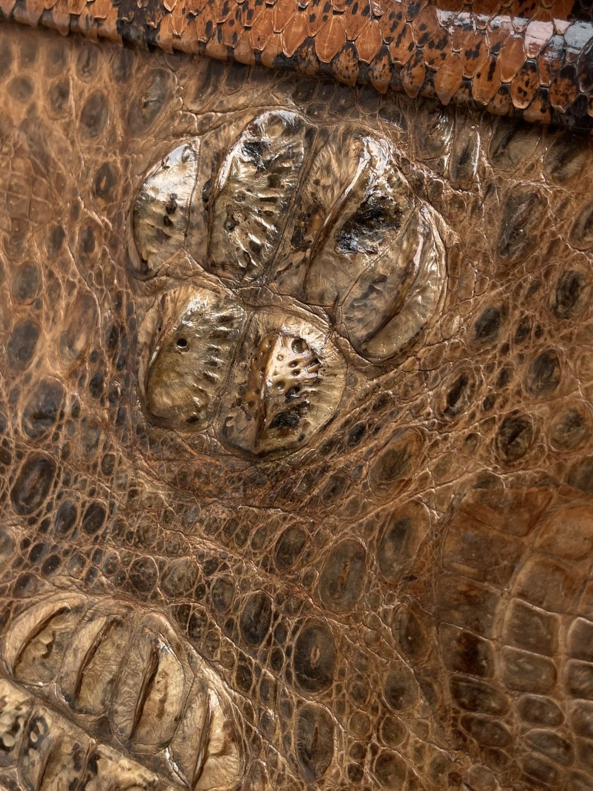 Vintage Shaped Crocodile’s Ridge & Python Snakeskin: Genuine Vintage Size ONE SIZE - 24 Thumbnail