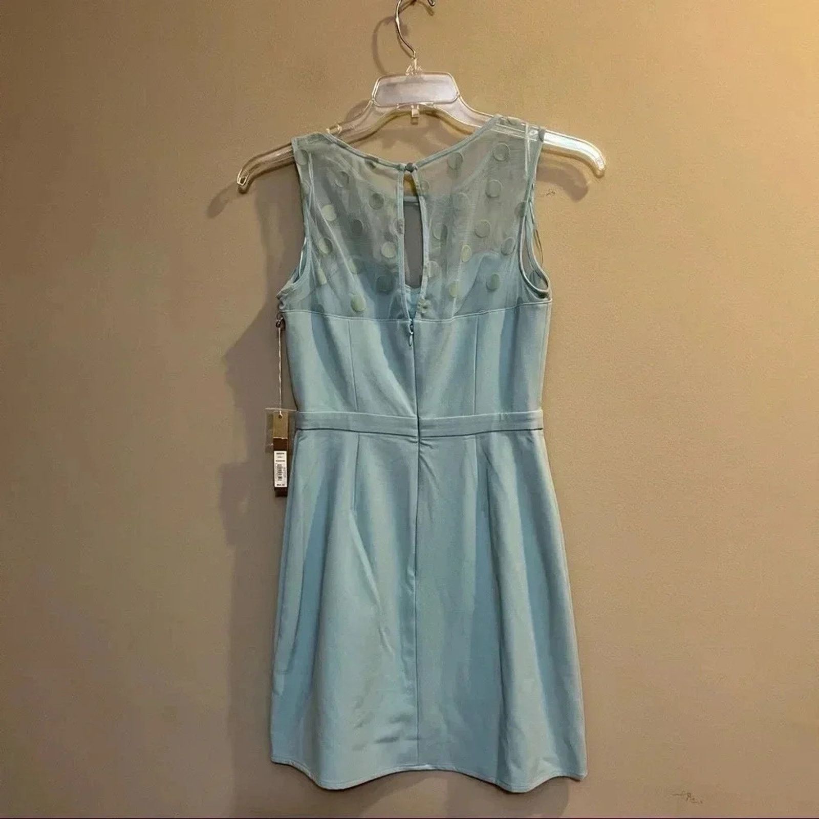 Lauren Conrad LC Lauren Conrad Flocked Tulle Sweetheart Dress Sz 4 NWT Size S / US 4 / IT 40 - 11 Thumbnail